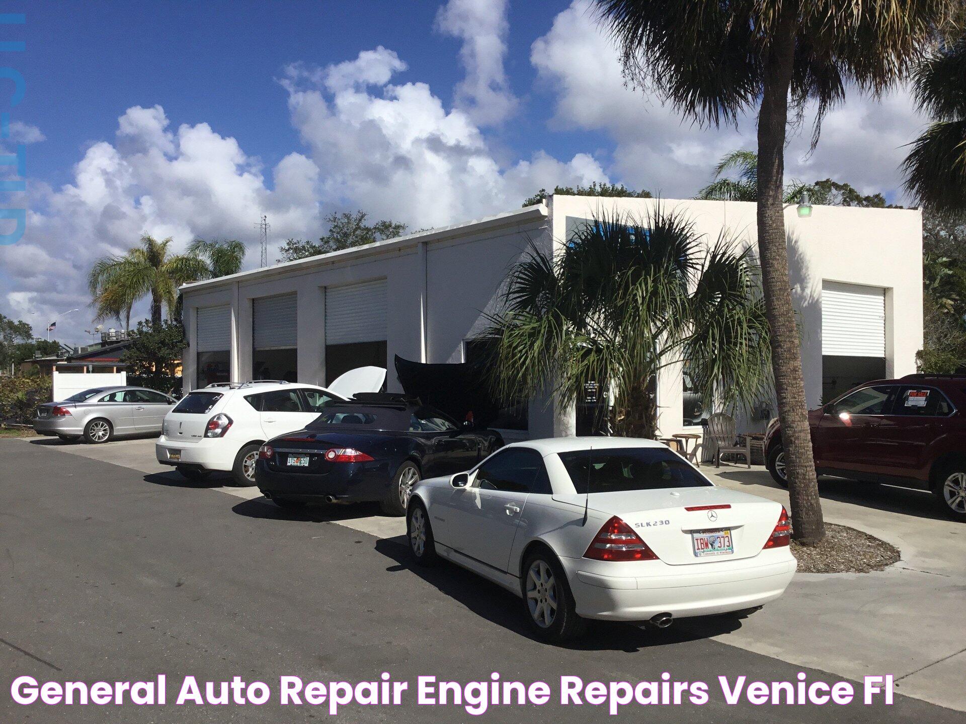 General Auto Repair Engine Repairs Venice, FL