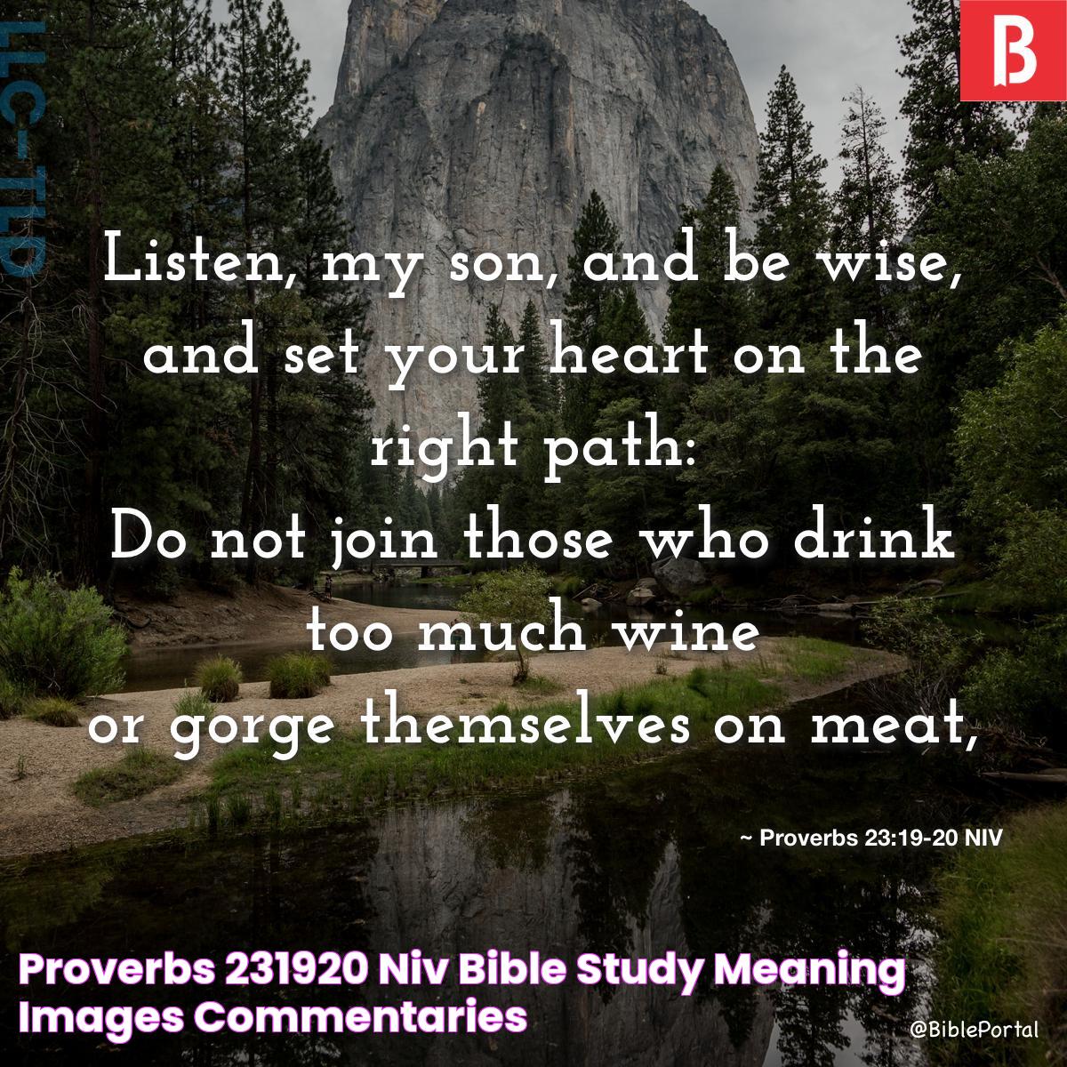 Timeless Teachings And Wisdom Of Proverbs 23