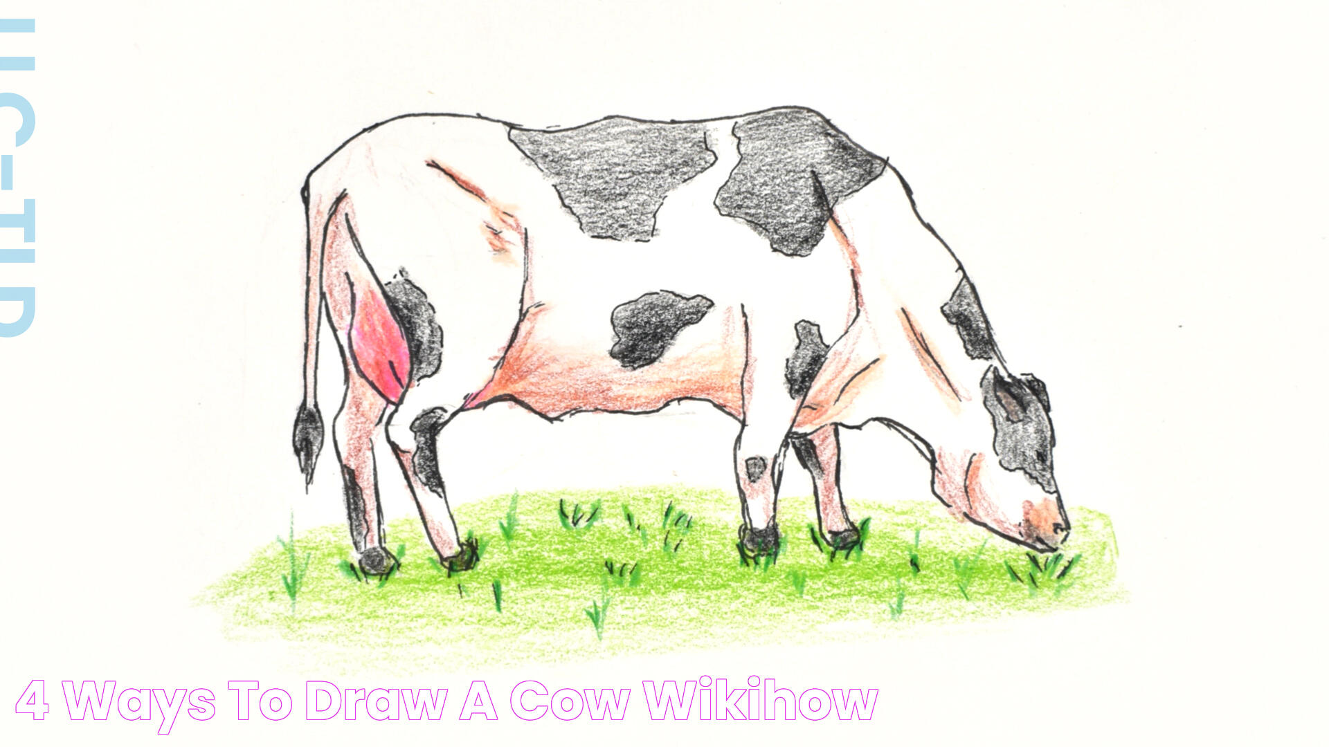 Step-by-Step Guide To Mastering How To Draw A Cow