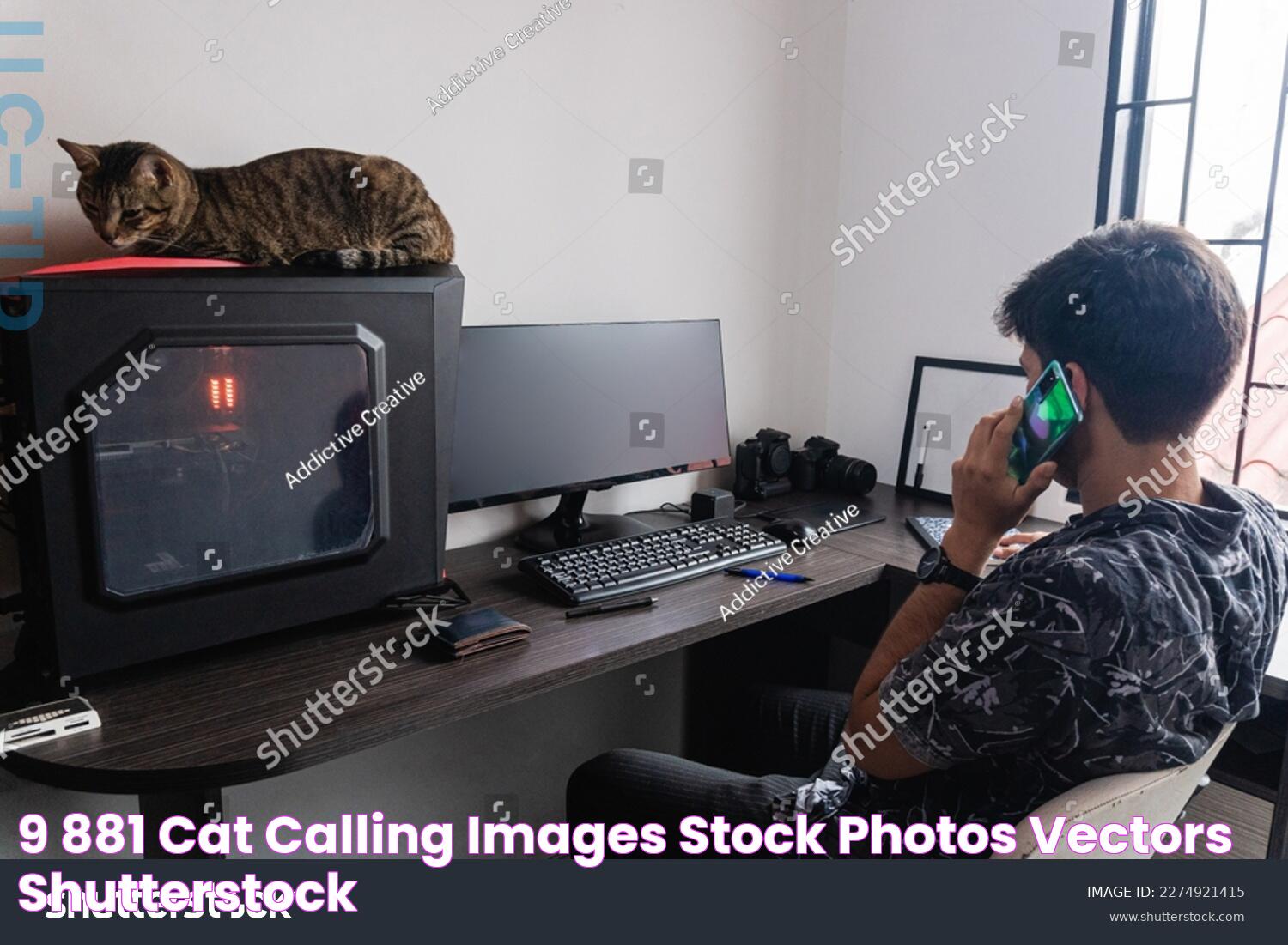 9,881 Cat_calling Images, Stock Photos & Vectors Shutterstock