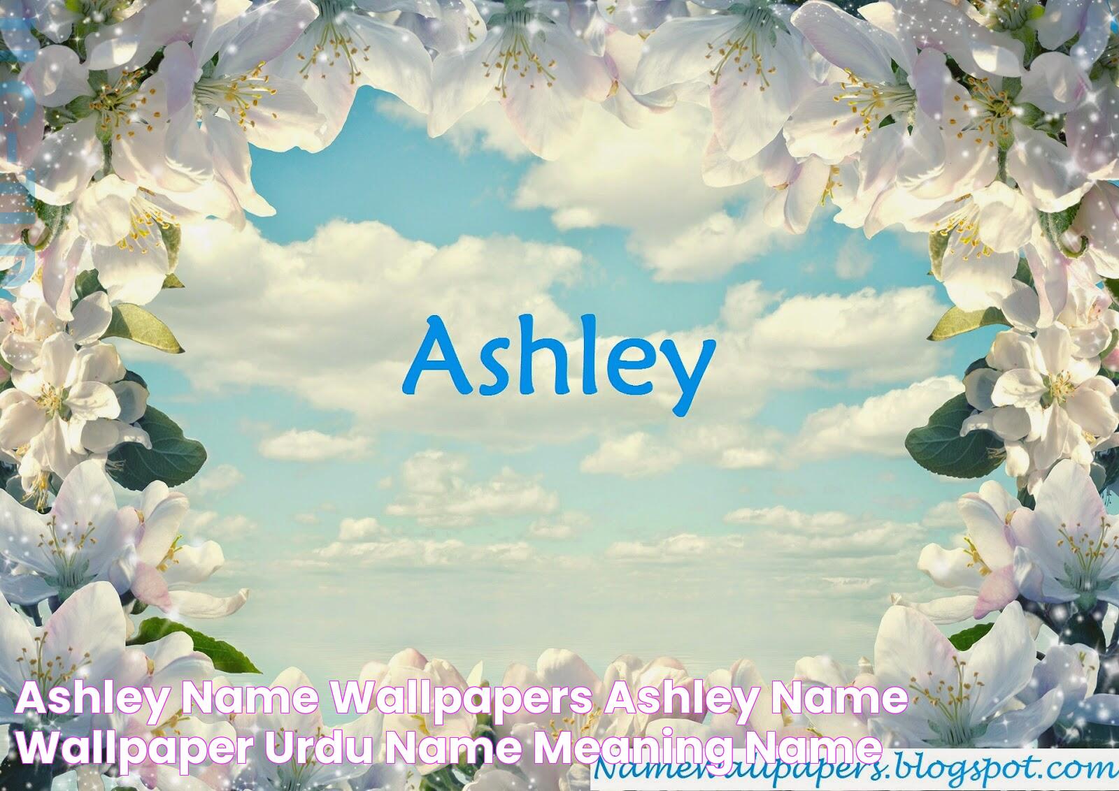 Unique Fun Fact About The Name Ashley: Unveiling Its Charm