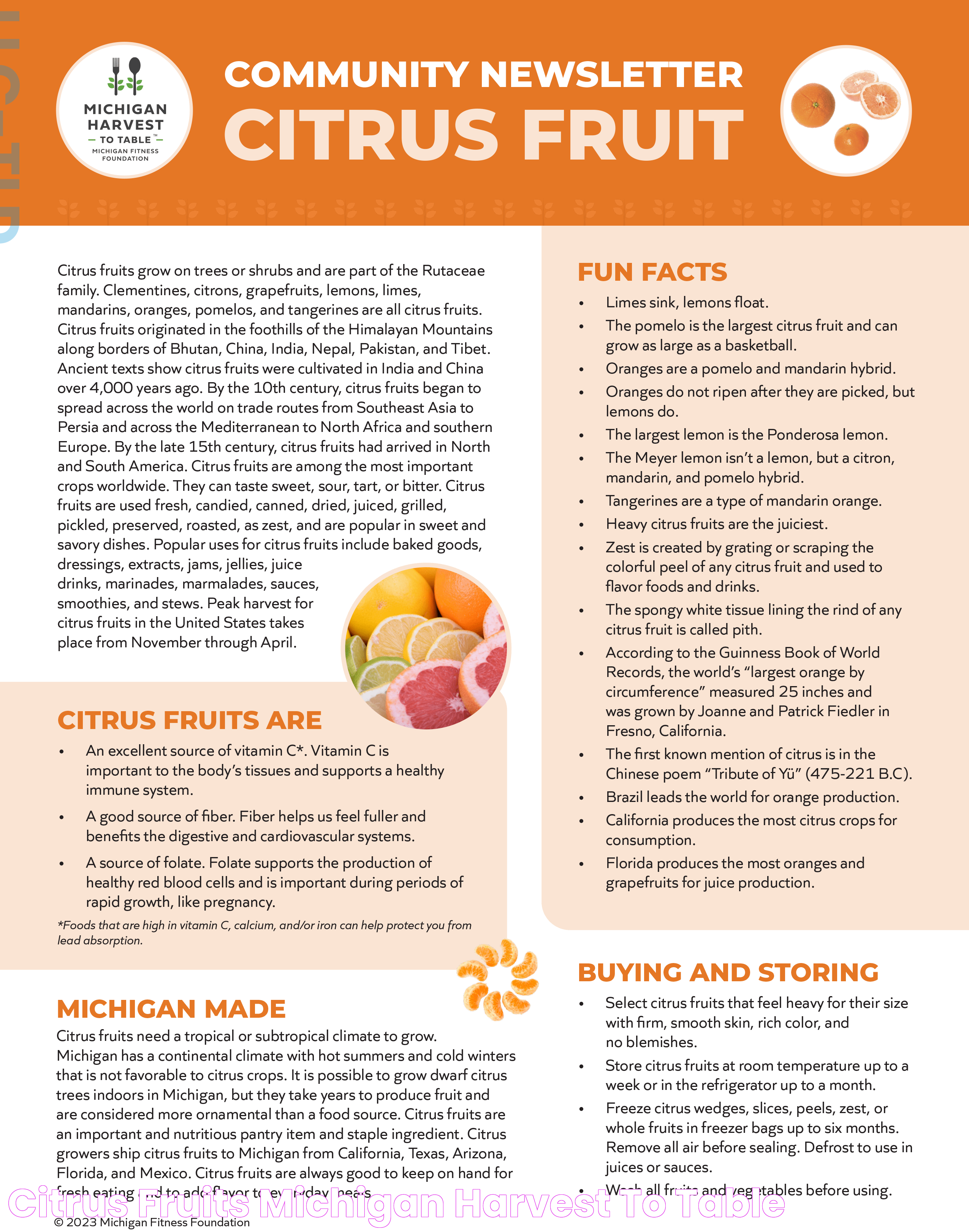 The Ultimate Guide To The Largest Of The Citrus Fruits: Nutritional Powerhouse &amp; Culinary Marvel