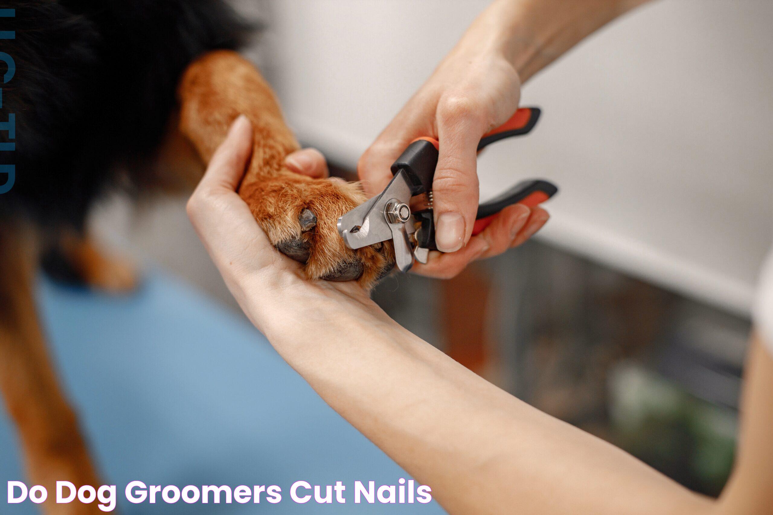 Do Dog Groomers Cut Nails