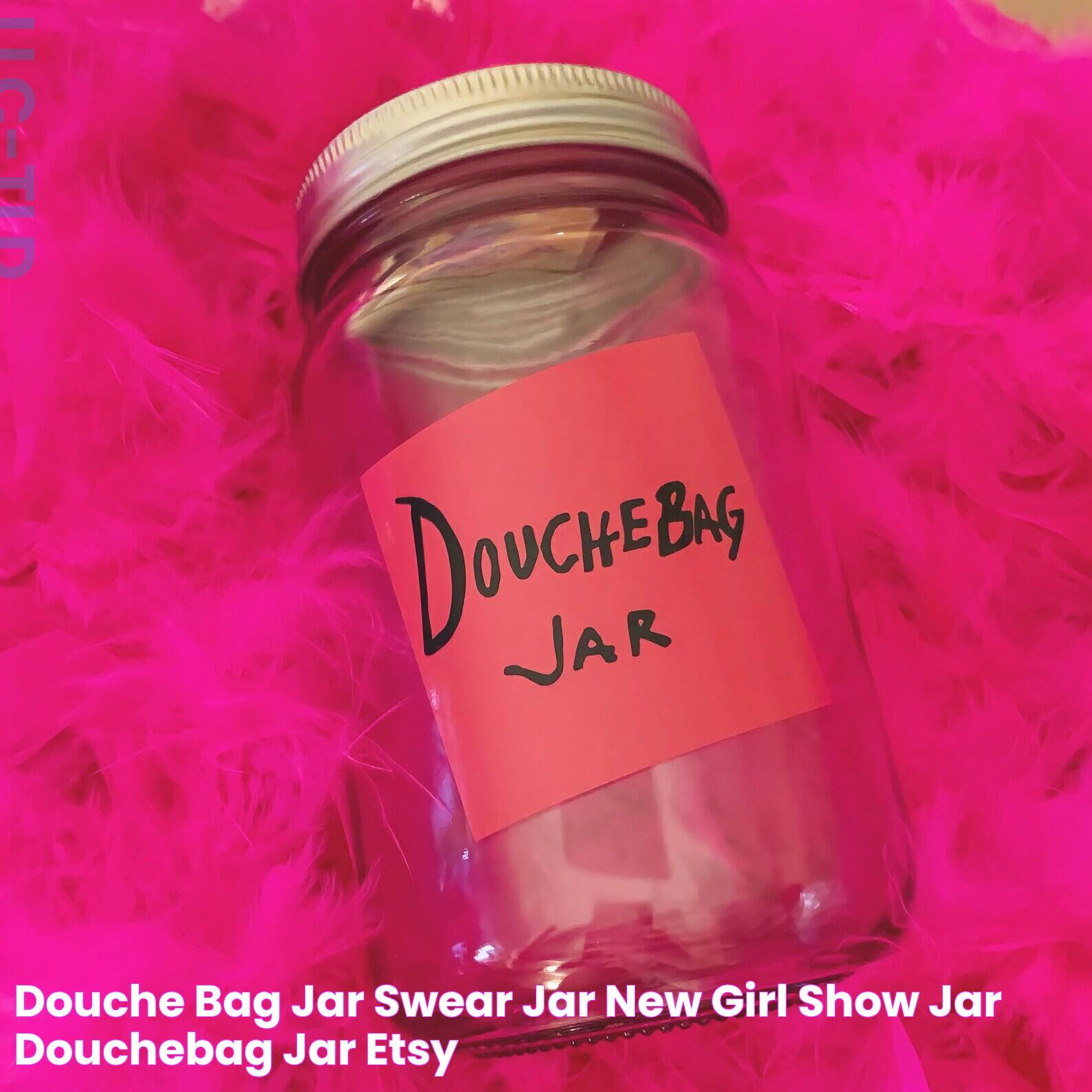 Douche bag jar swear jar new girl show jar douchebag jar Etsy