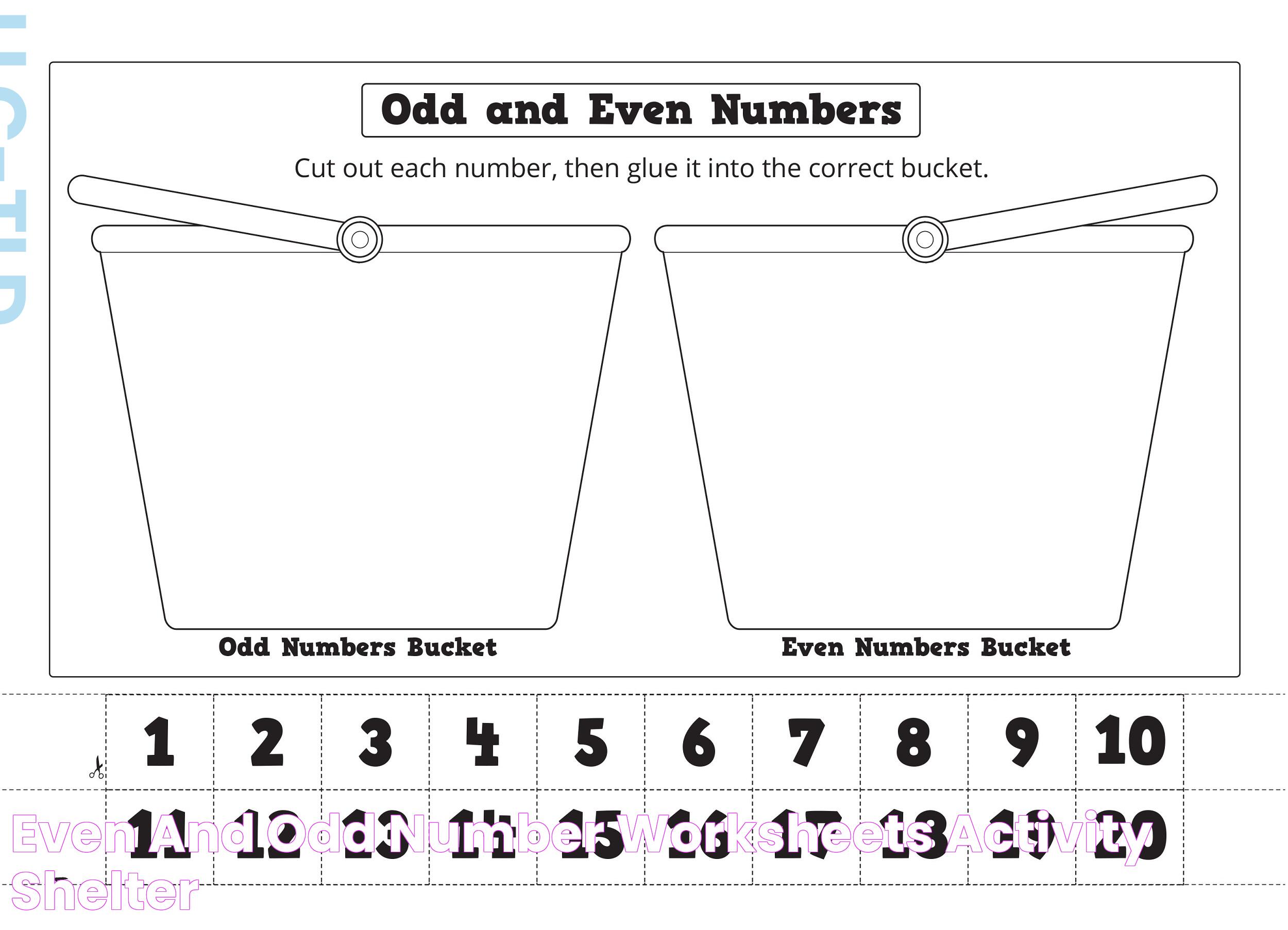 Is 0 An Even Number? A Detailed Analysis With Facts And Insights