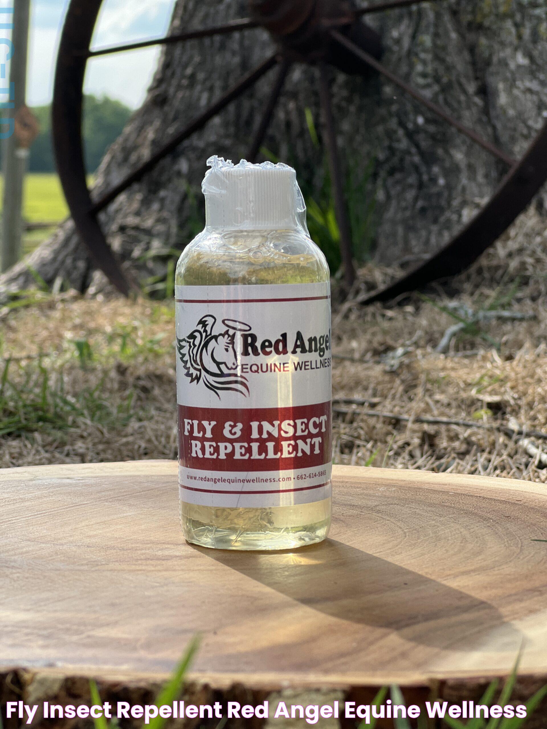 Effective Fly Repellent Solutions For A Pest-Free Environment