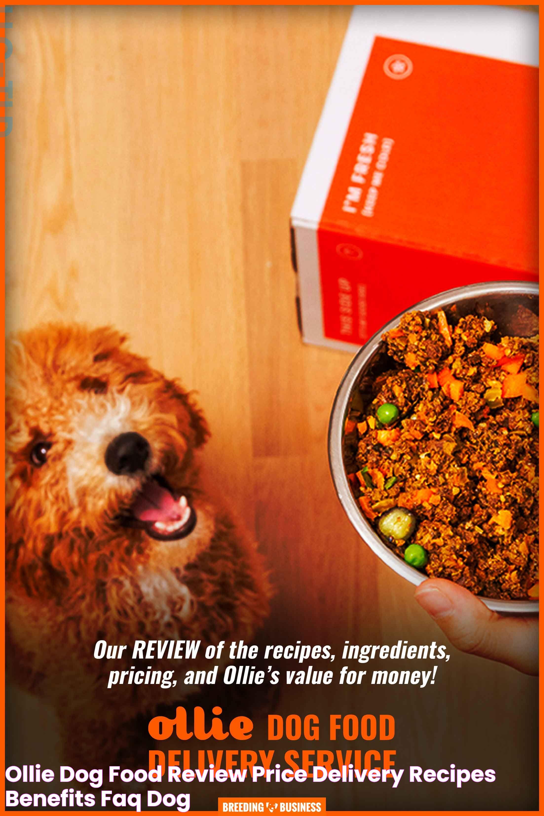 Why Ollie Dog Food Is The Perfect Choice For Your Pet&rsquo;s Nutrition