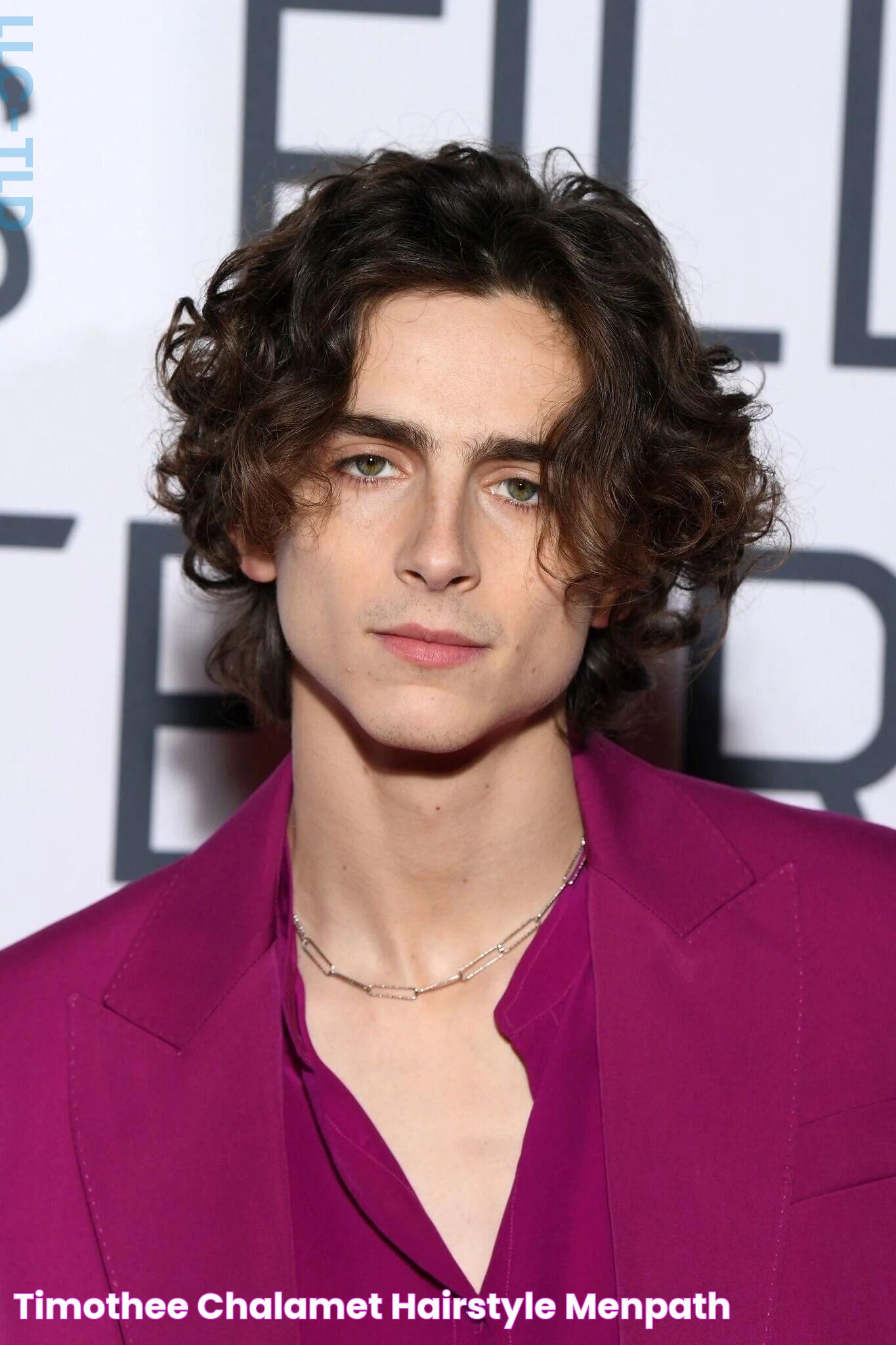 Timothee Chalamet Hairstyle MenPath