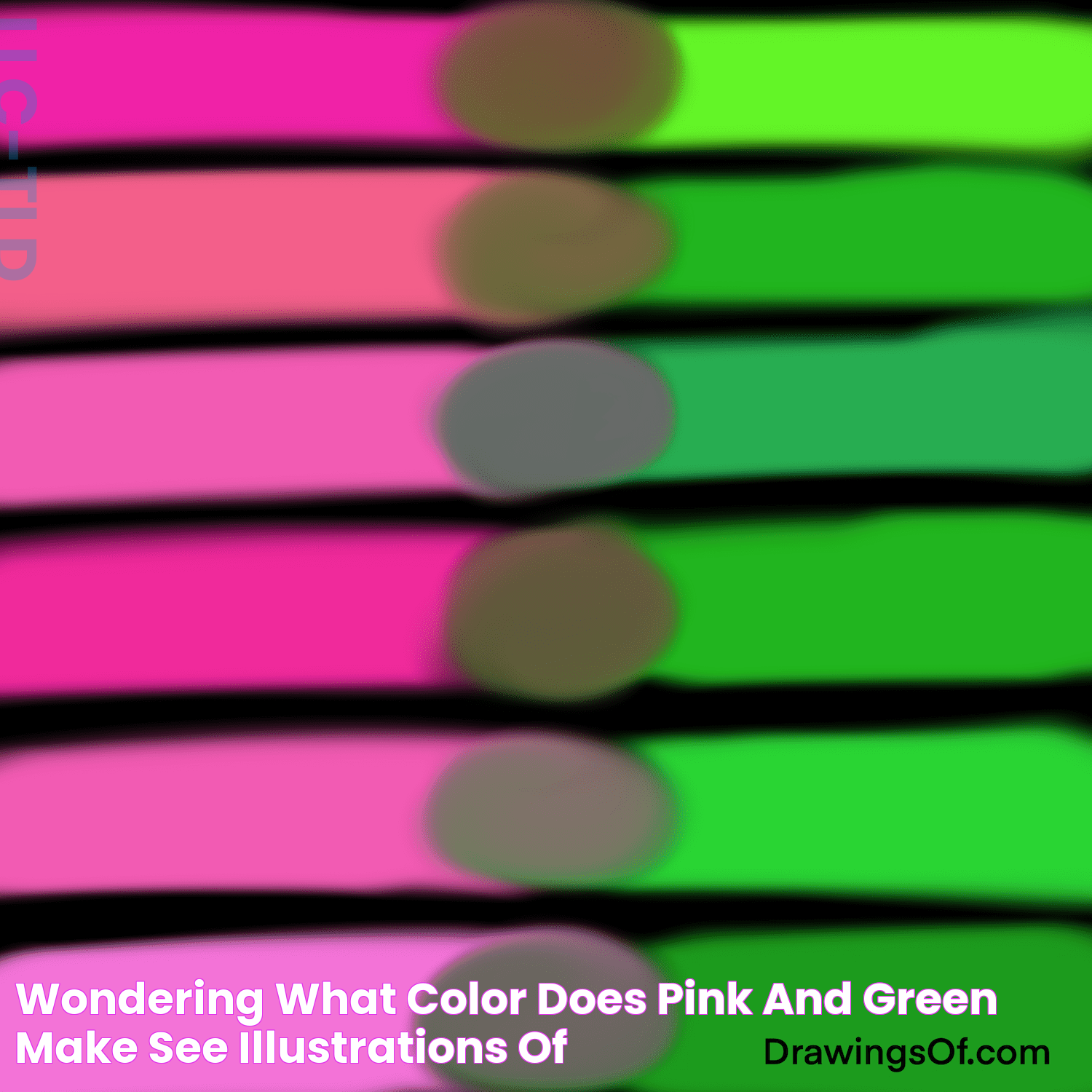 What Colors Do Pink And Orange Create Together?