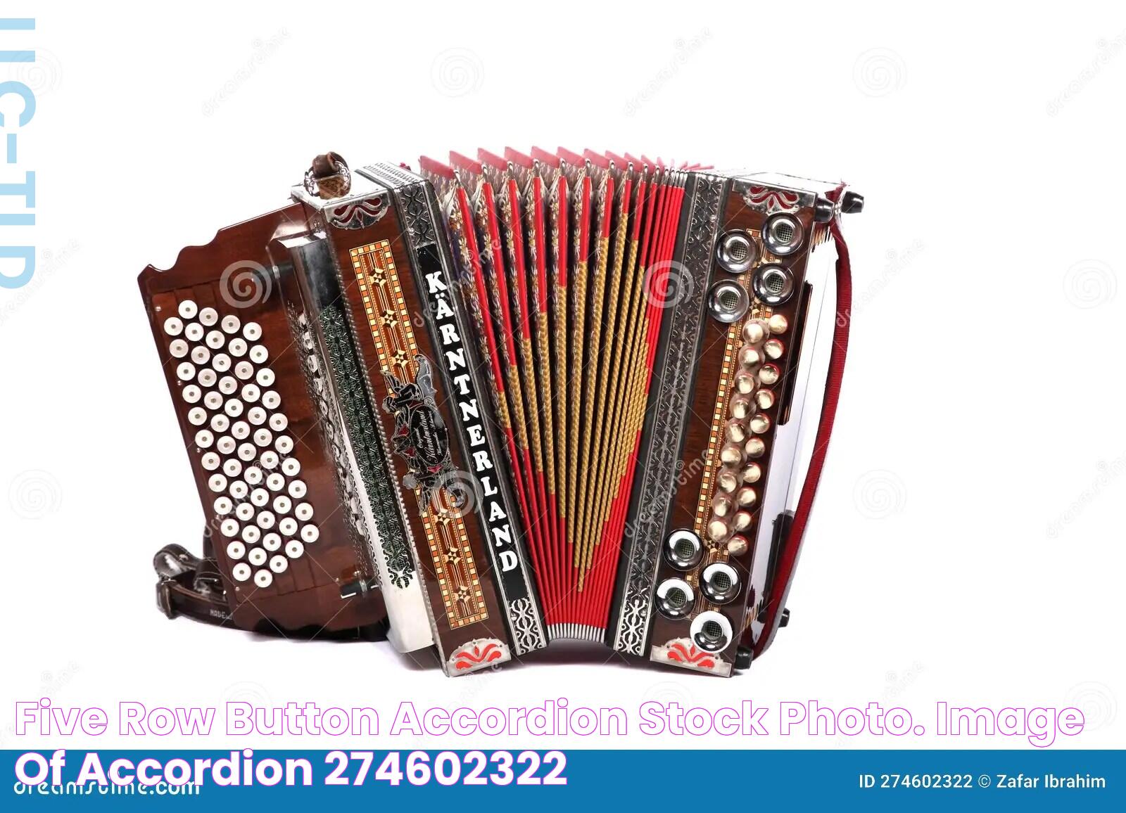 Five Row Button Accordion stock photo. Image of accordion 274602322