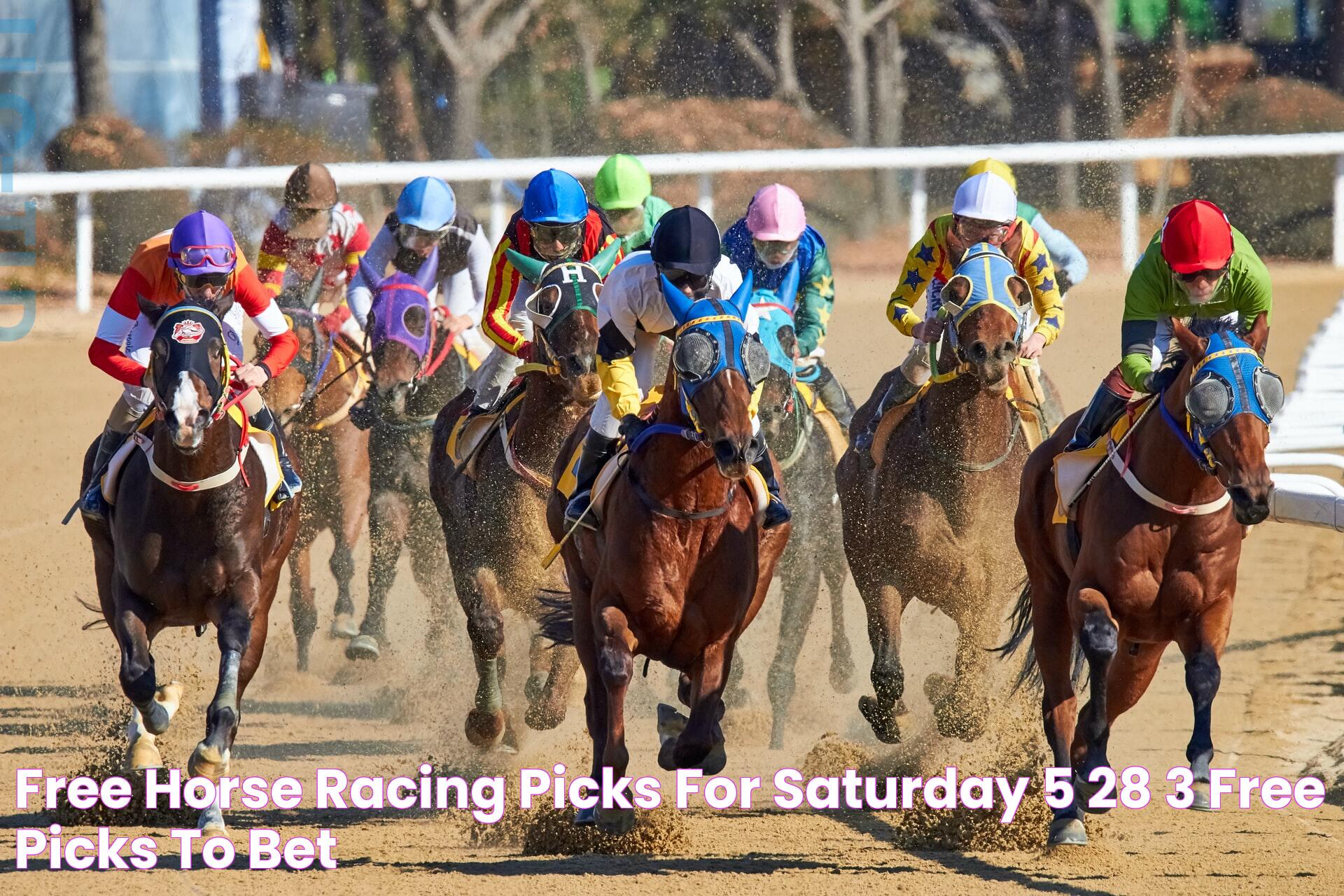 Expert Tips And Strategies For Free Horse Racing Picks