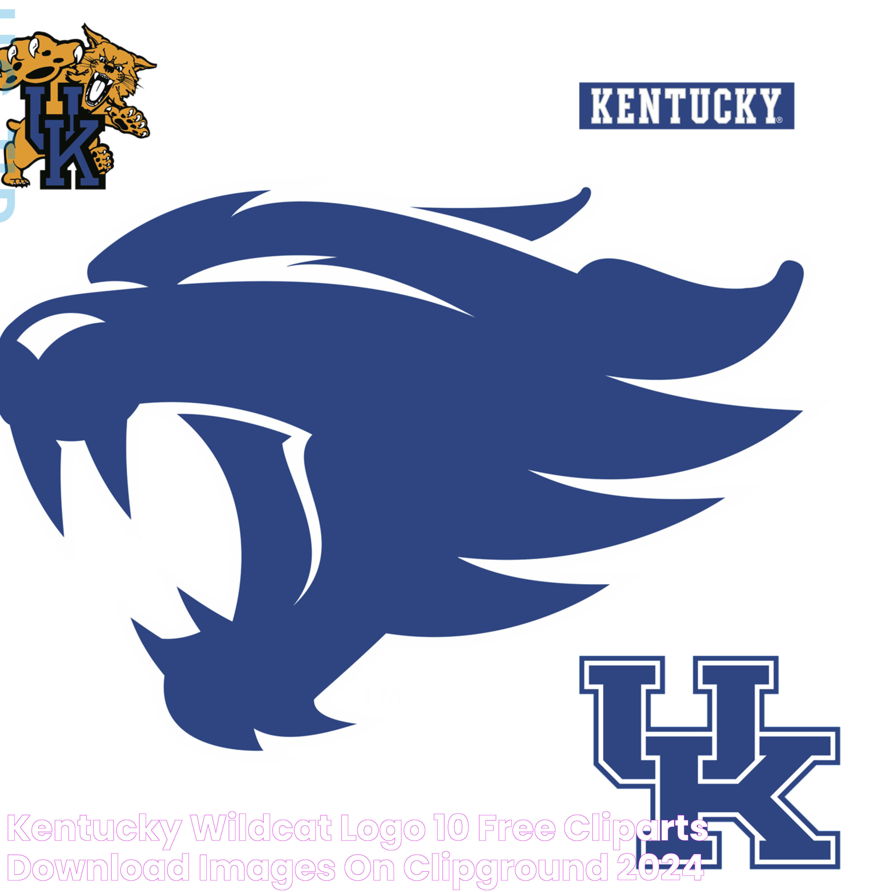 A Closer Look At The Kentucky Wildcat Phenomenon