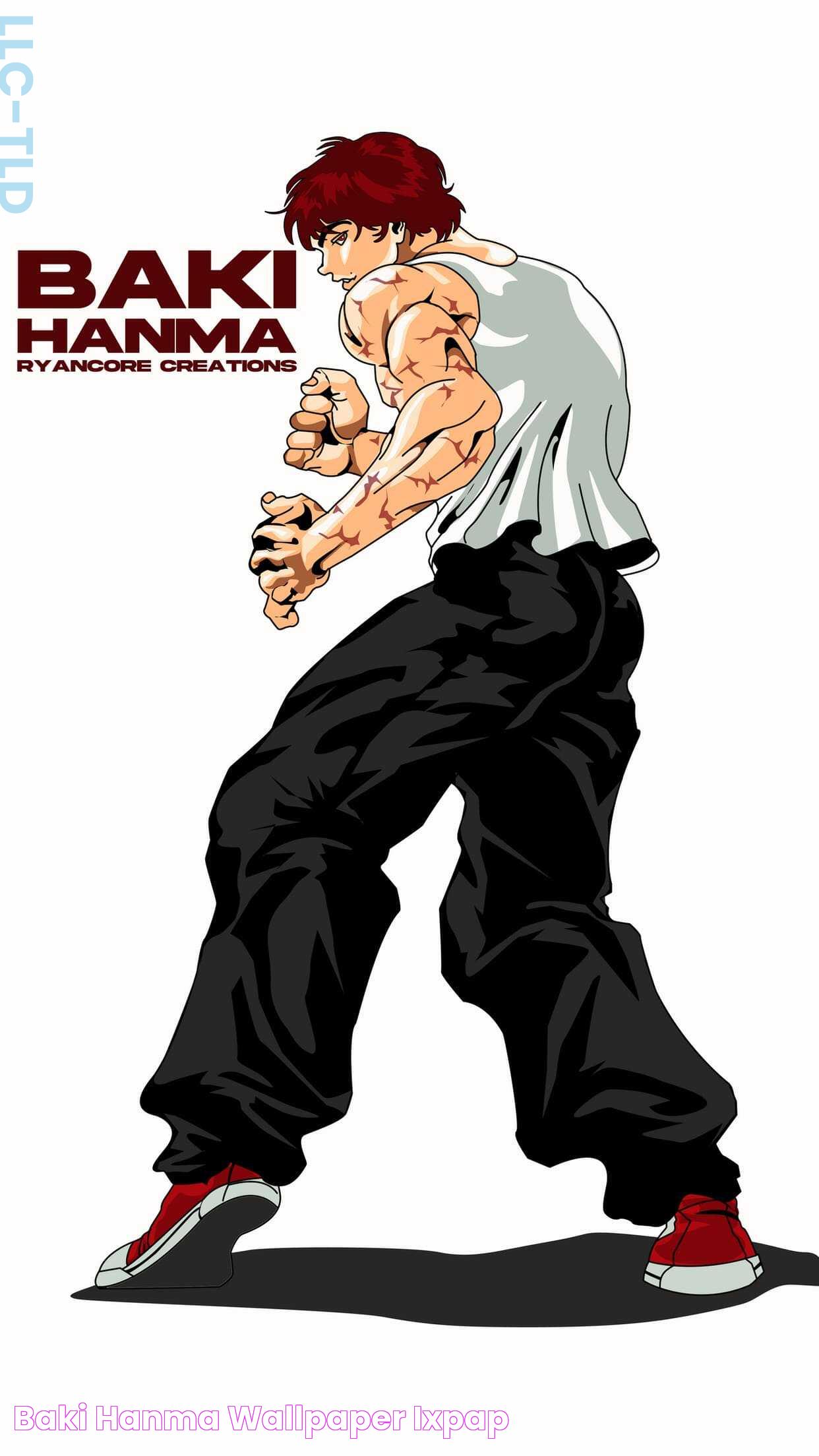 Insights Into Baki Hanma: The Ultimate Grappler's World