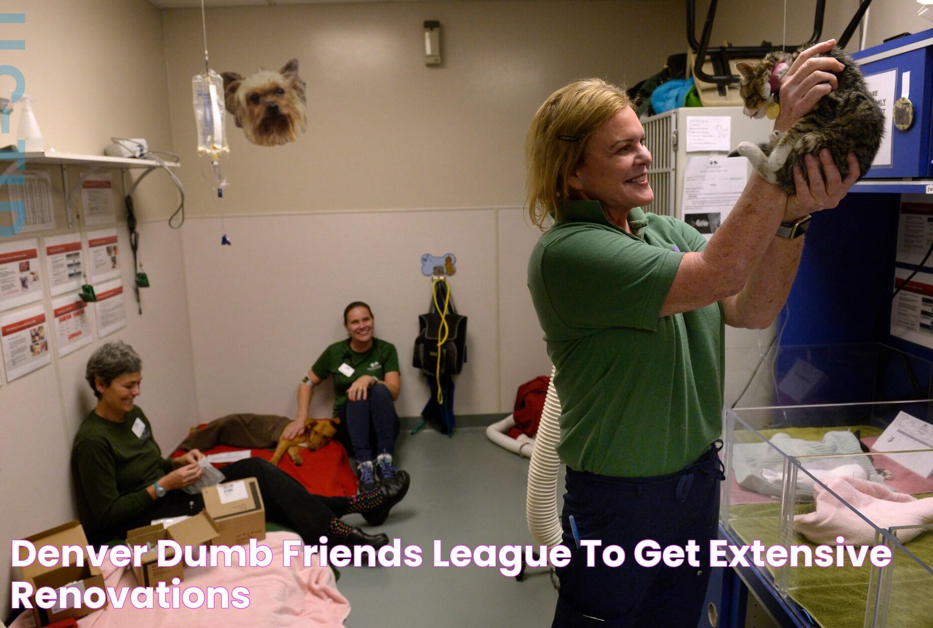 Denver Dumb Friends League to get extensive renovations