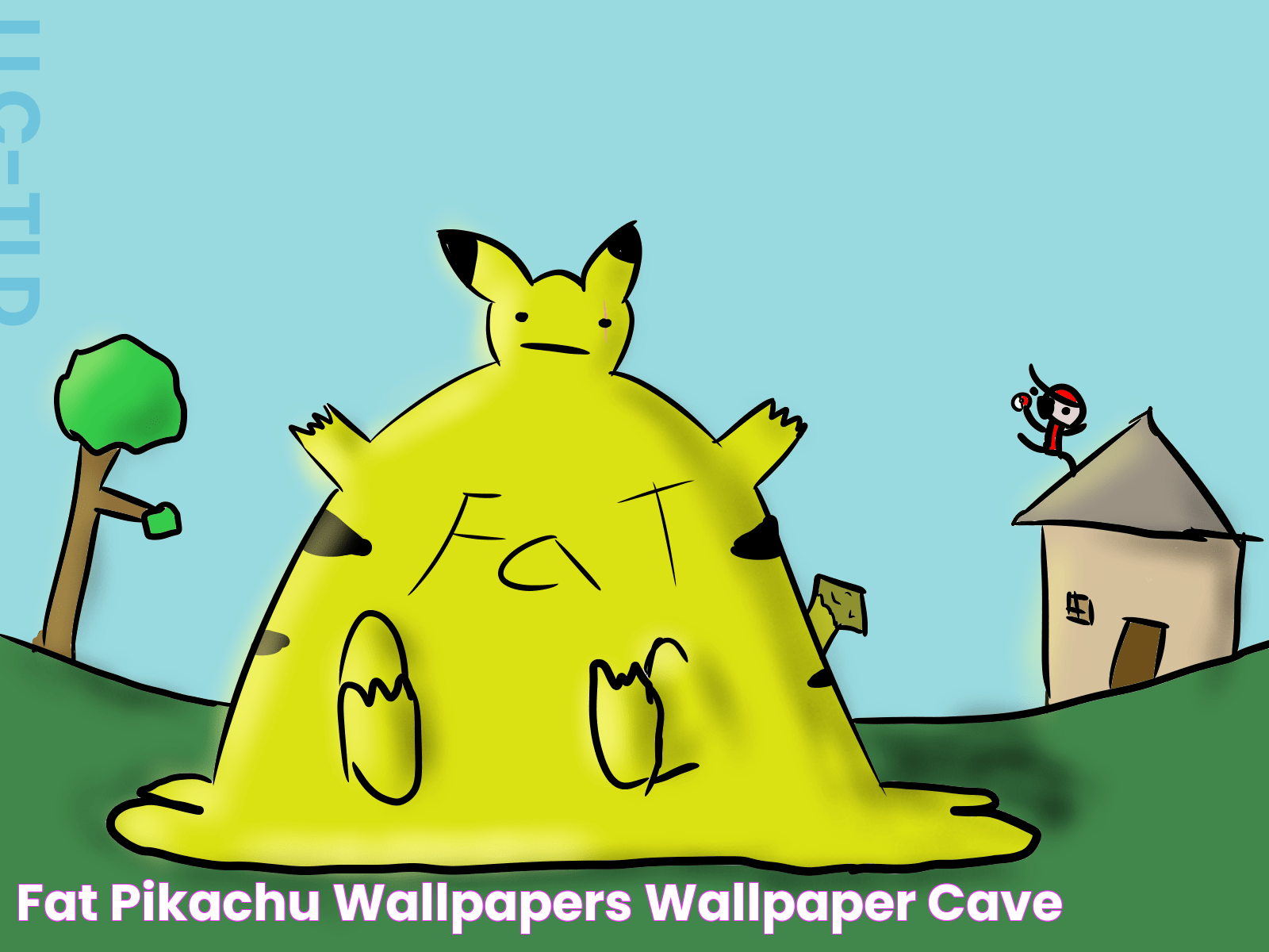 Fat Pikachu Wallpapers Wallpaper Cave