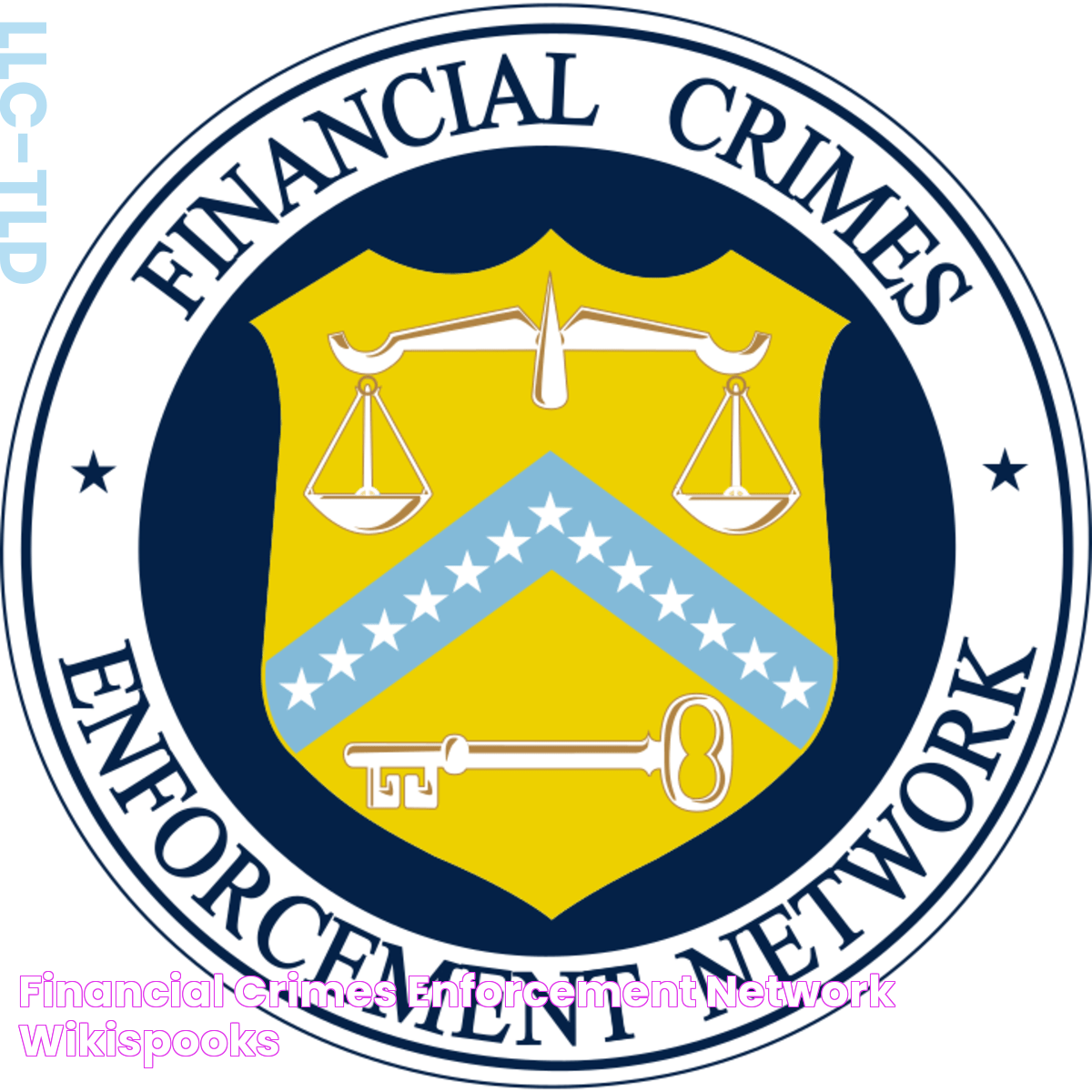 Empowering Future Security: Financial Crimes Enforcement Network