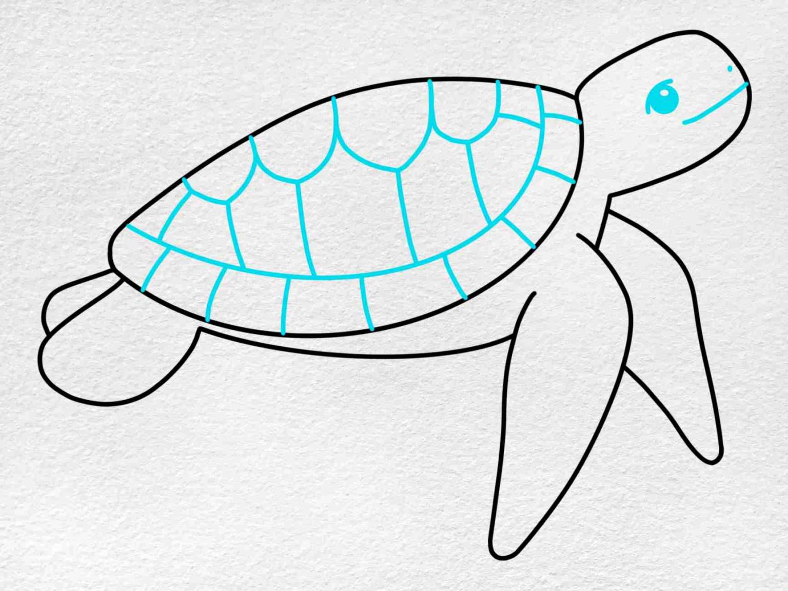 Easy Sea Turtle Drawing HelloArtsy