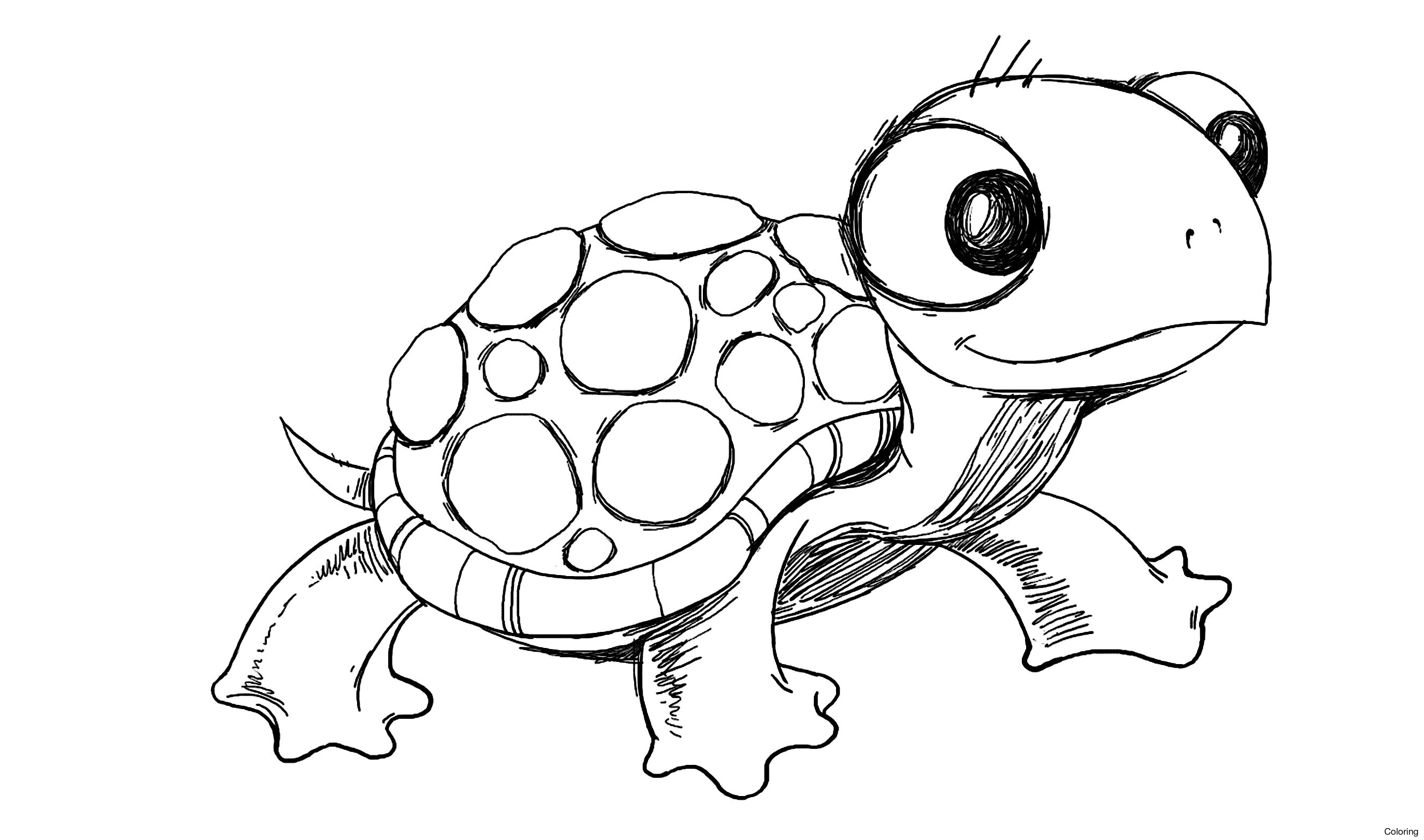 Creative Guide To Turtle Easy Drawing For Beginners