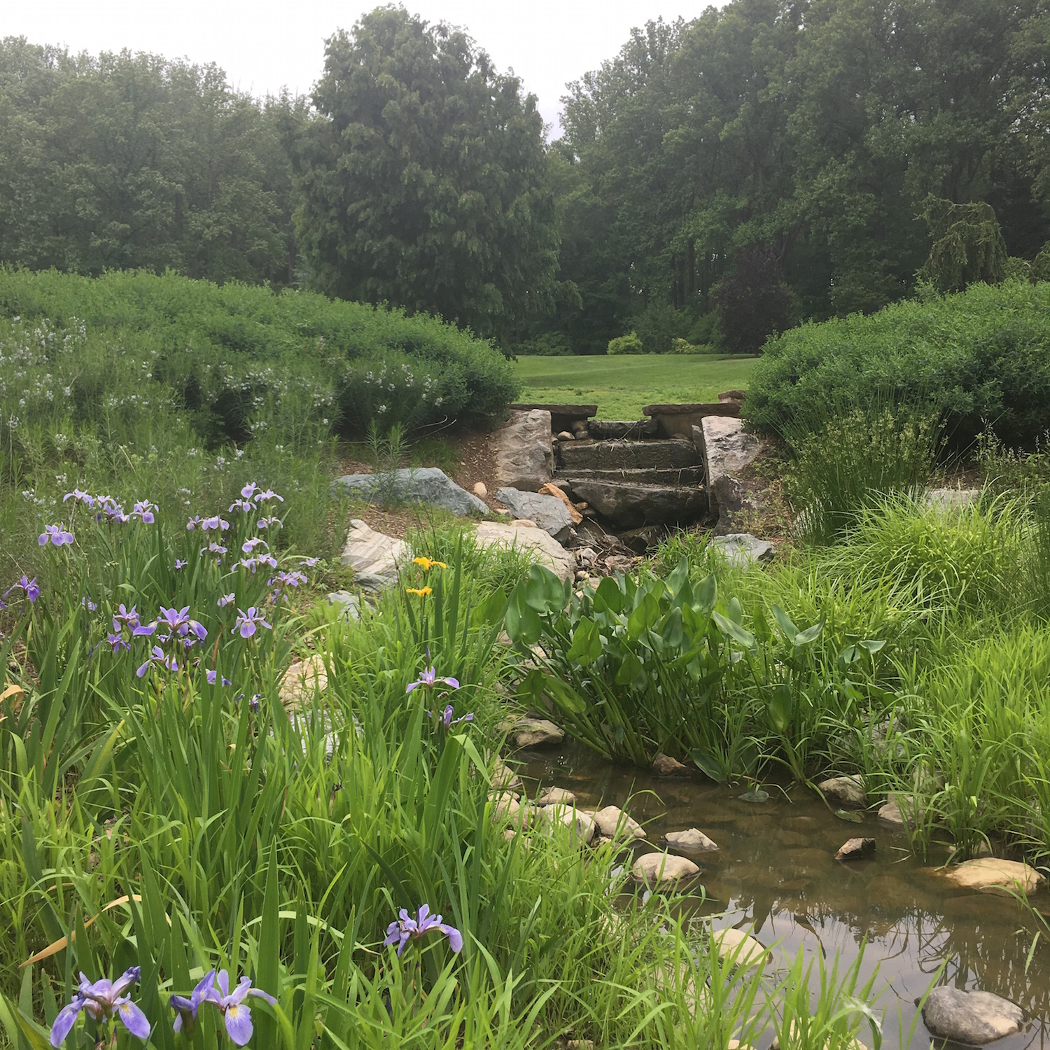 Brookside Gardens: A Serene Oasis For Nature Enthusiasts