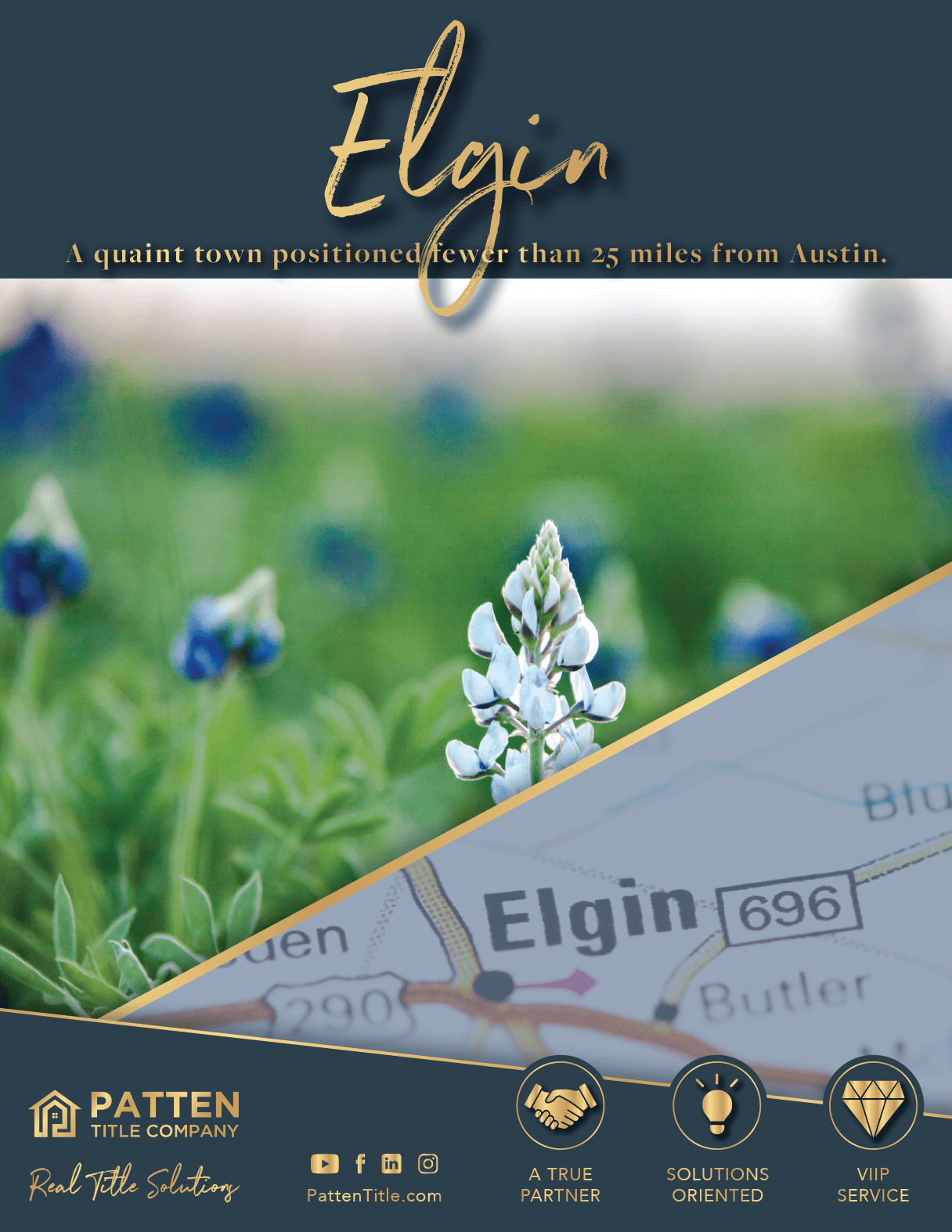 Everything You Need To Know About Elgin DMV Services