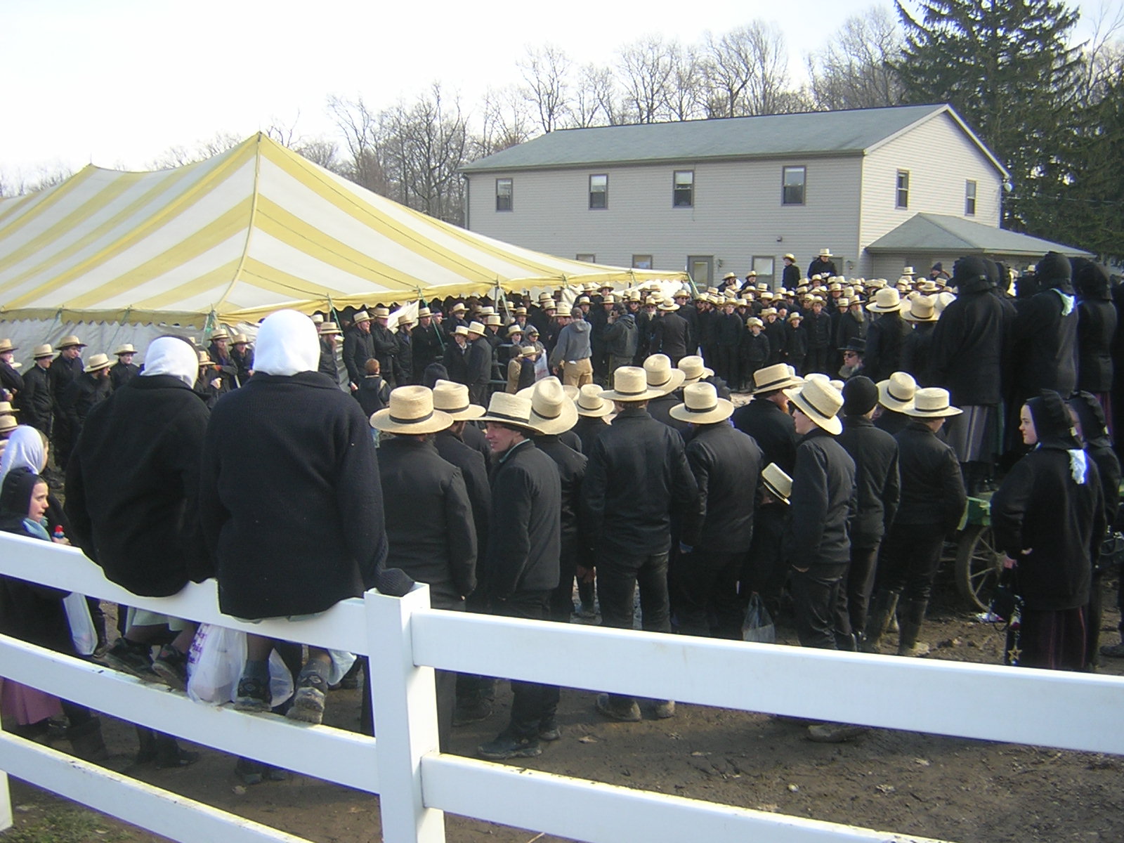 Amish Mud Sales 2025: A Unique Tradition Rooted In Community Spirit