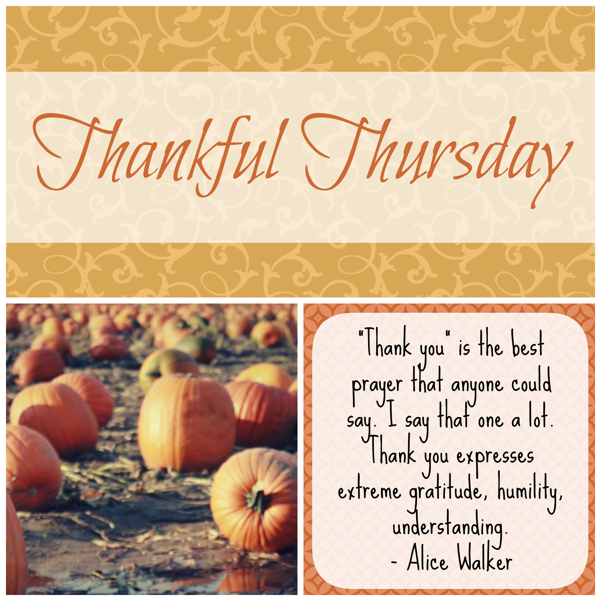 Embracing Gratitude: The Beauty Of Thankful Thursday