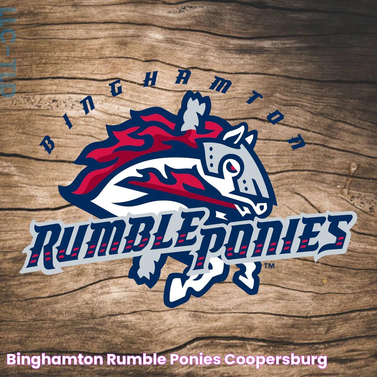 All You Need To Know About The Binghamton Rumble Ponies