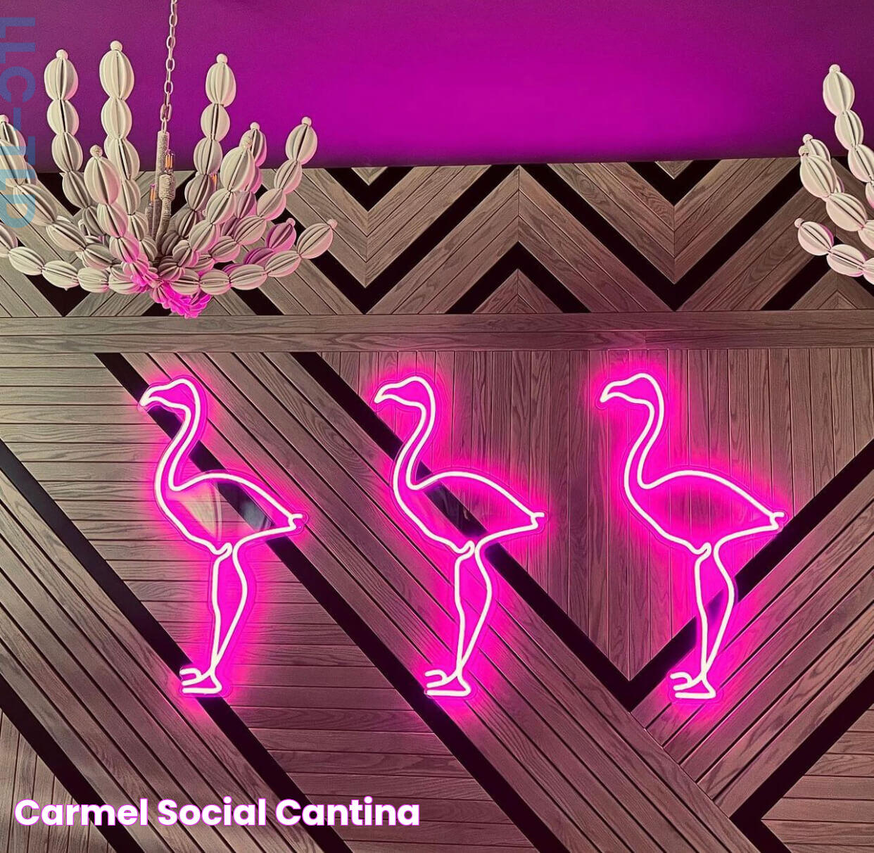 Carmel Social Cantina