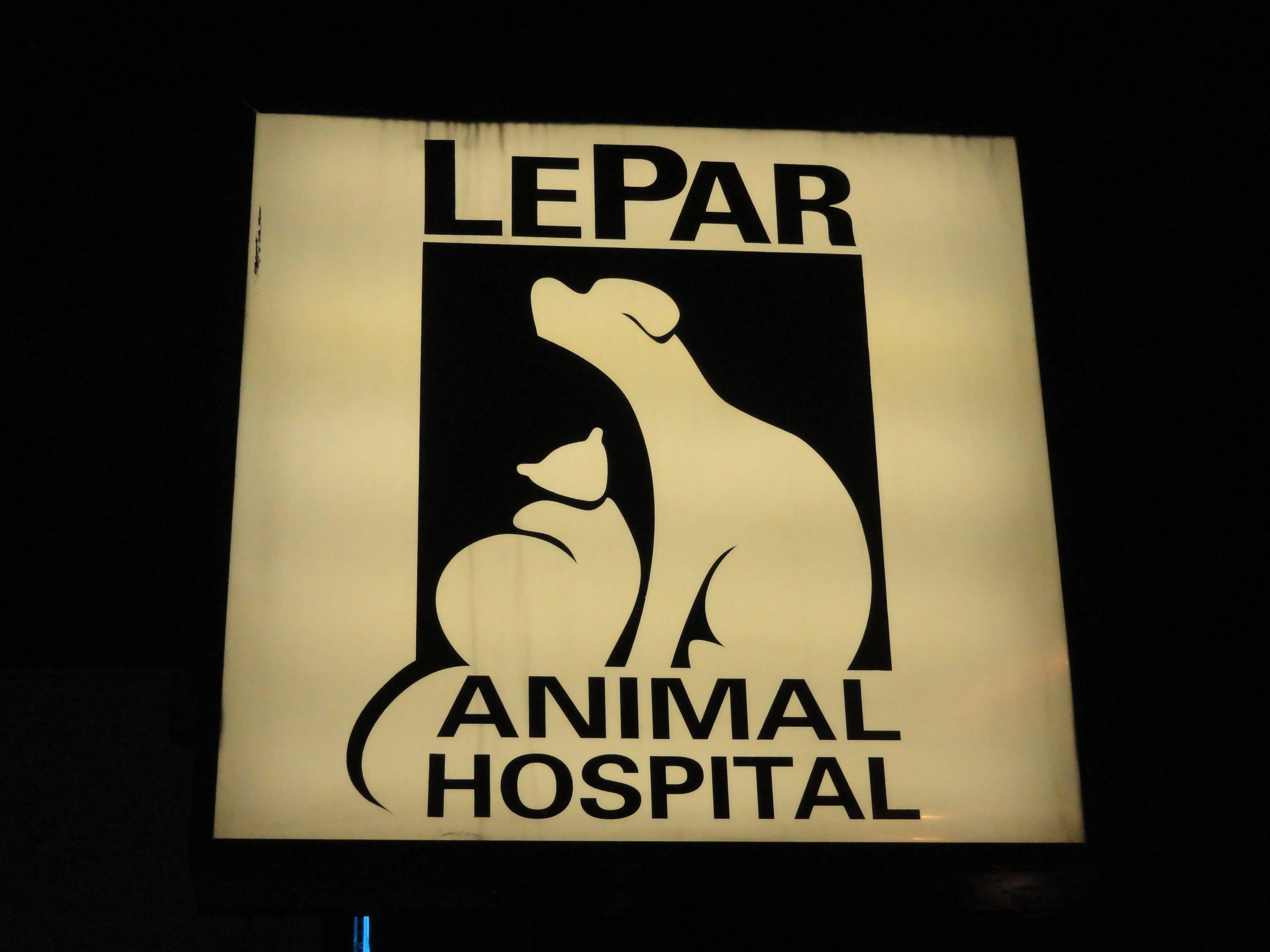 Lepar Animal: Insights Into The Life And Significance