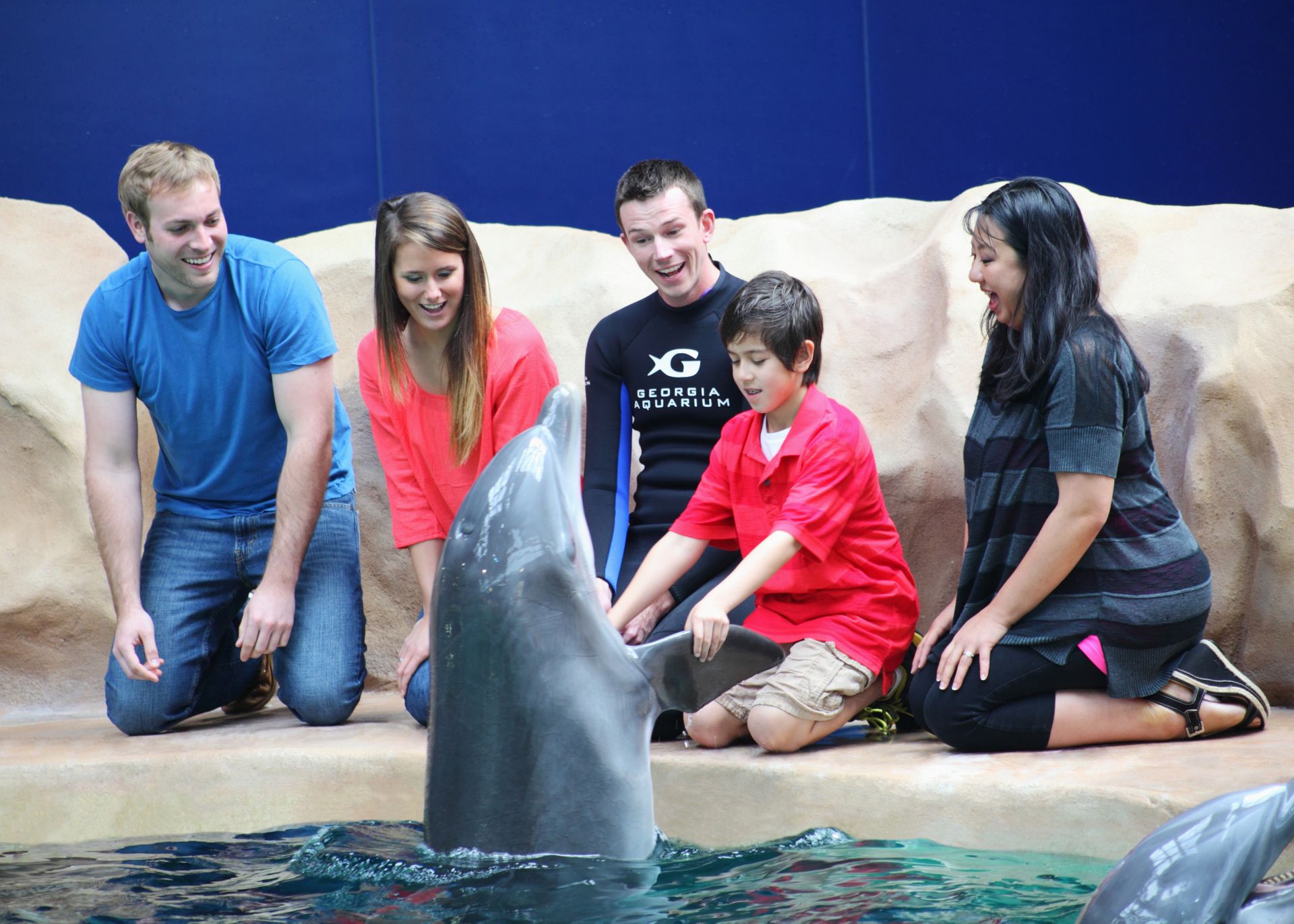 Aquarium Launches New Interactive Dolphin Encounter