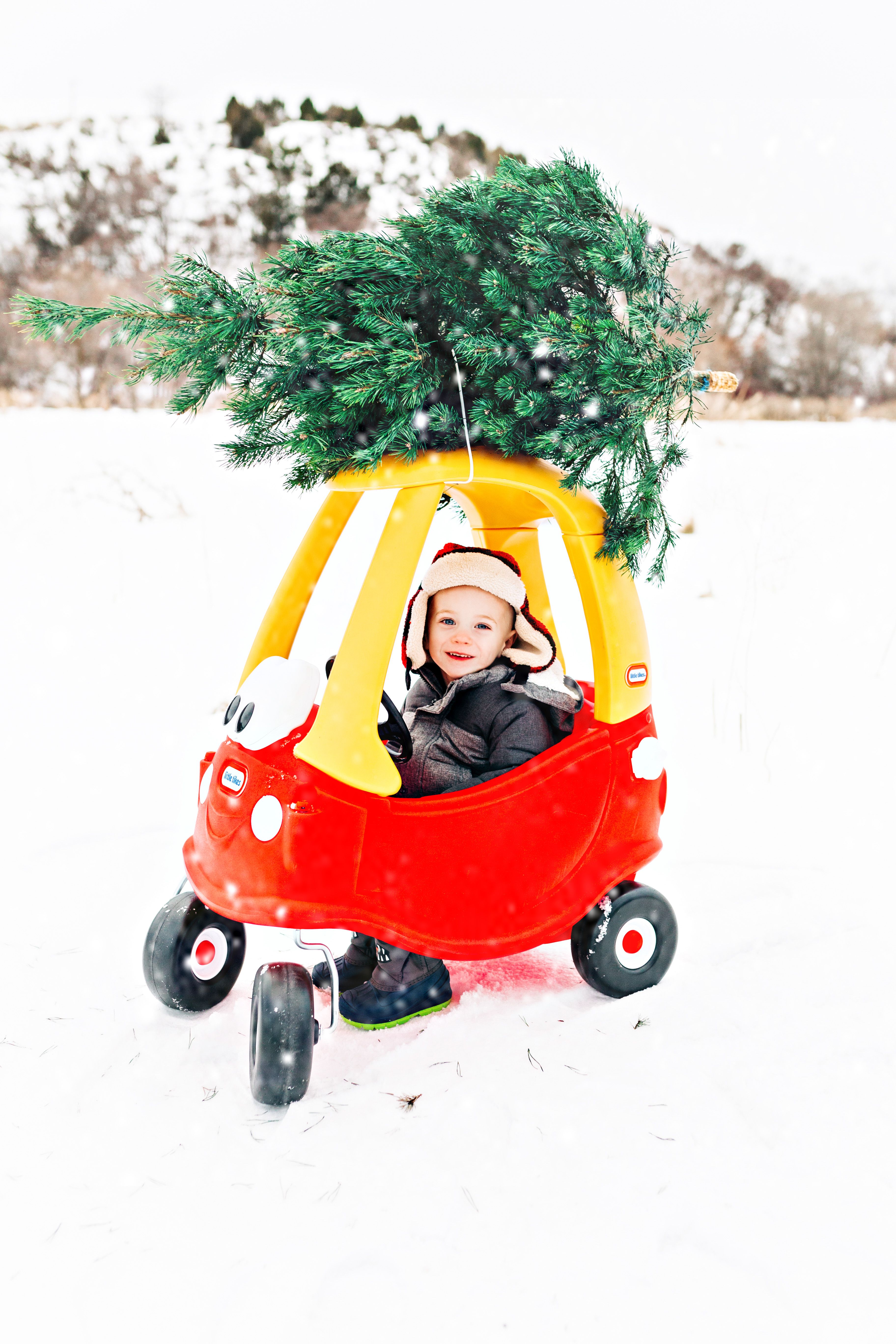 Ultimate Guide To The Little Tikes Christmas Tree For Holiday Cheer