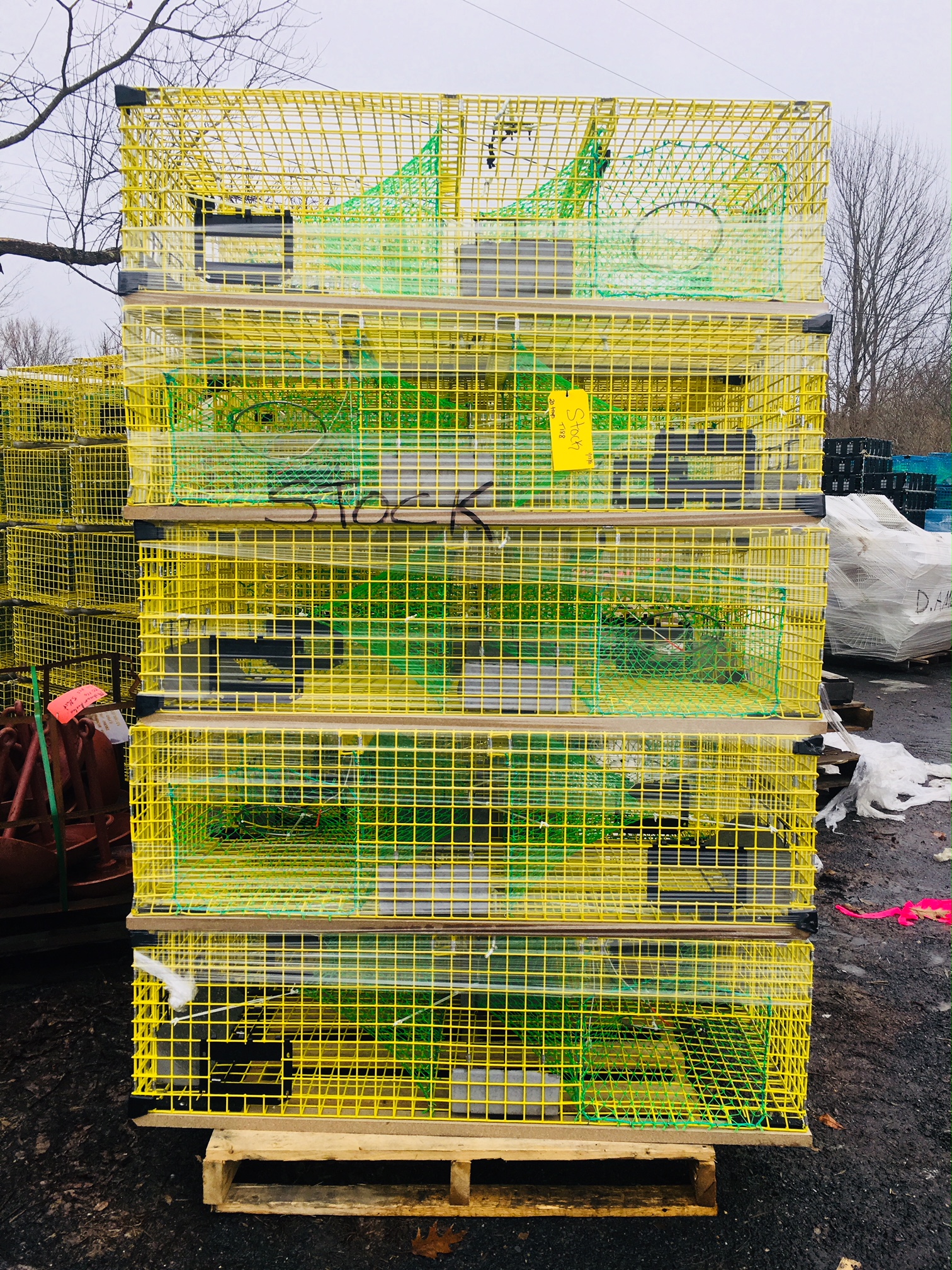 Free photo Yellow Lobster Traps Yellow, Sea, Net Free Download