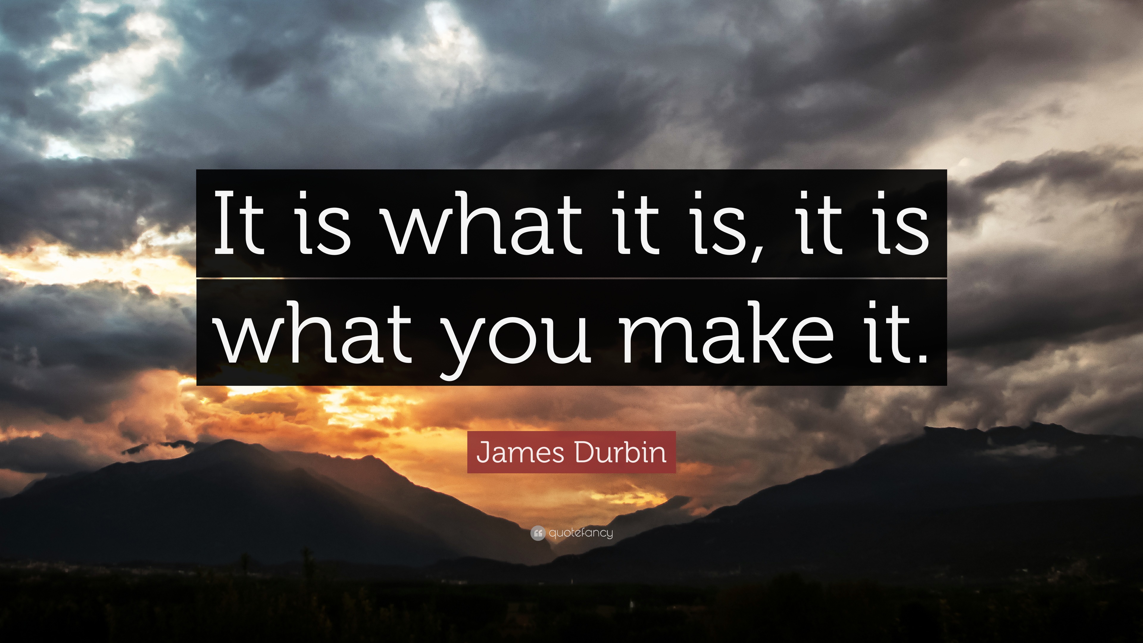 James Durbin Quote “It is what it is, it is what you make it.”