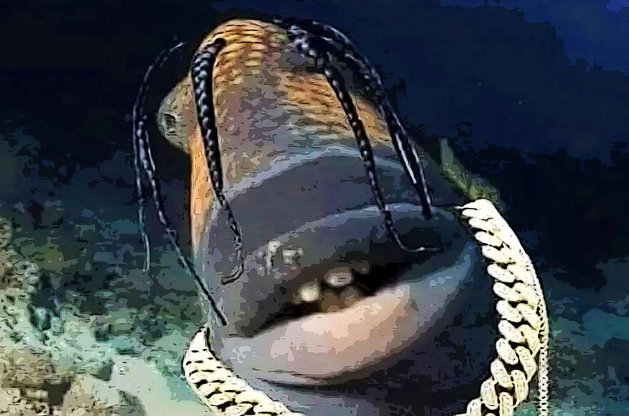 Travis Scott Fish Meme Template Piñata Farms The best meme