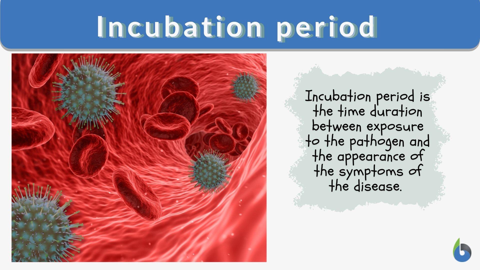 Understanding The JN.1 Incubation Period: A Comprehensive Guide