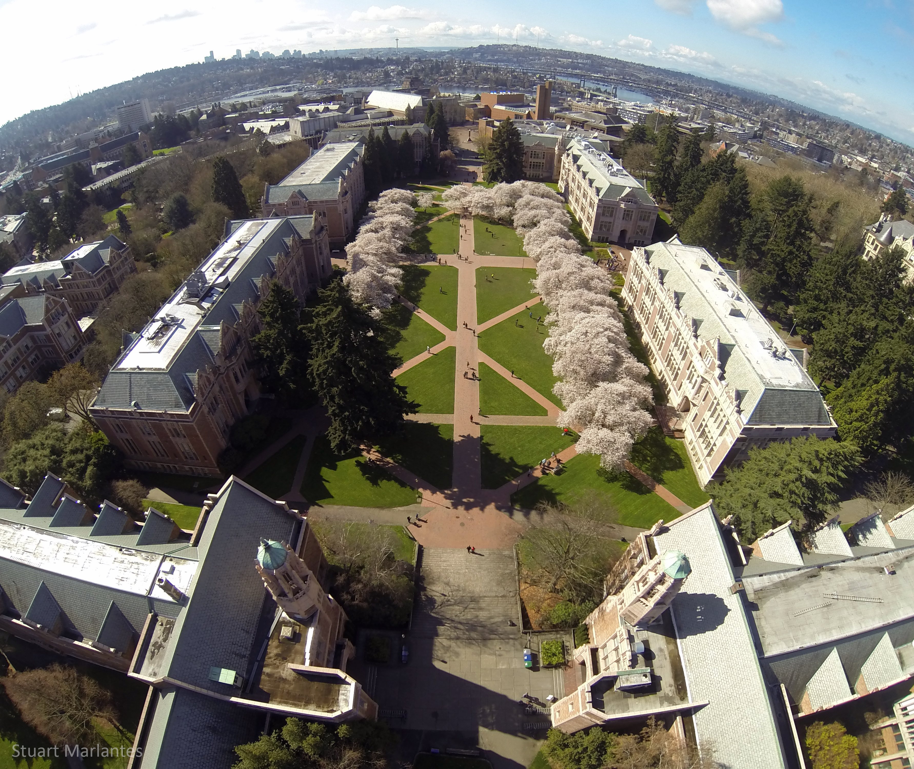 Discover The Magic Of UW Cherry Blossoms: A Seasonal Delight