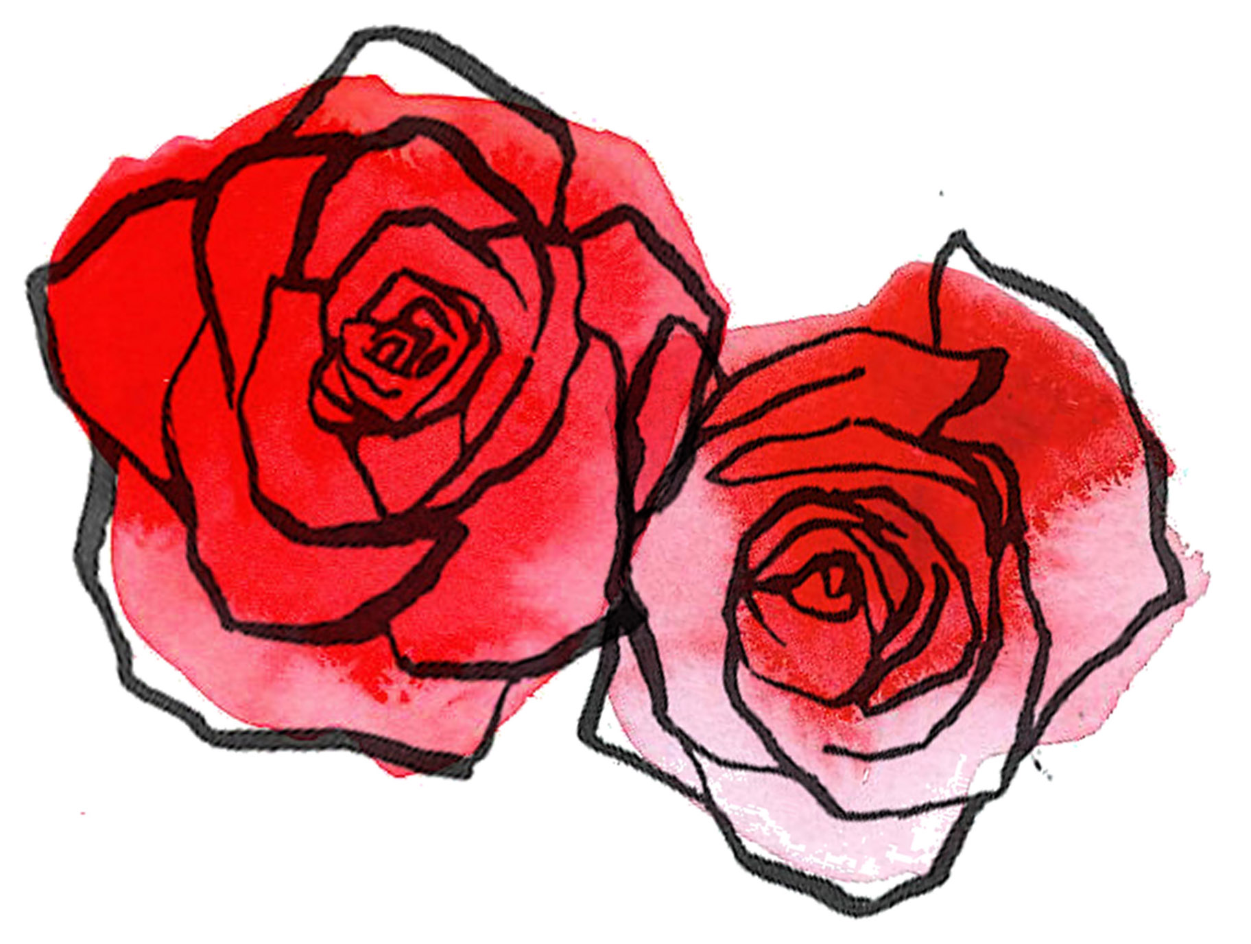 Mastering The Art Of Rose Pic Drawing: Tips, Techniques, And Inspiration