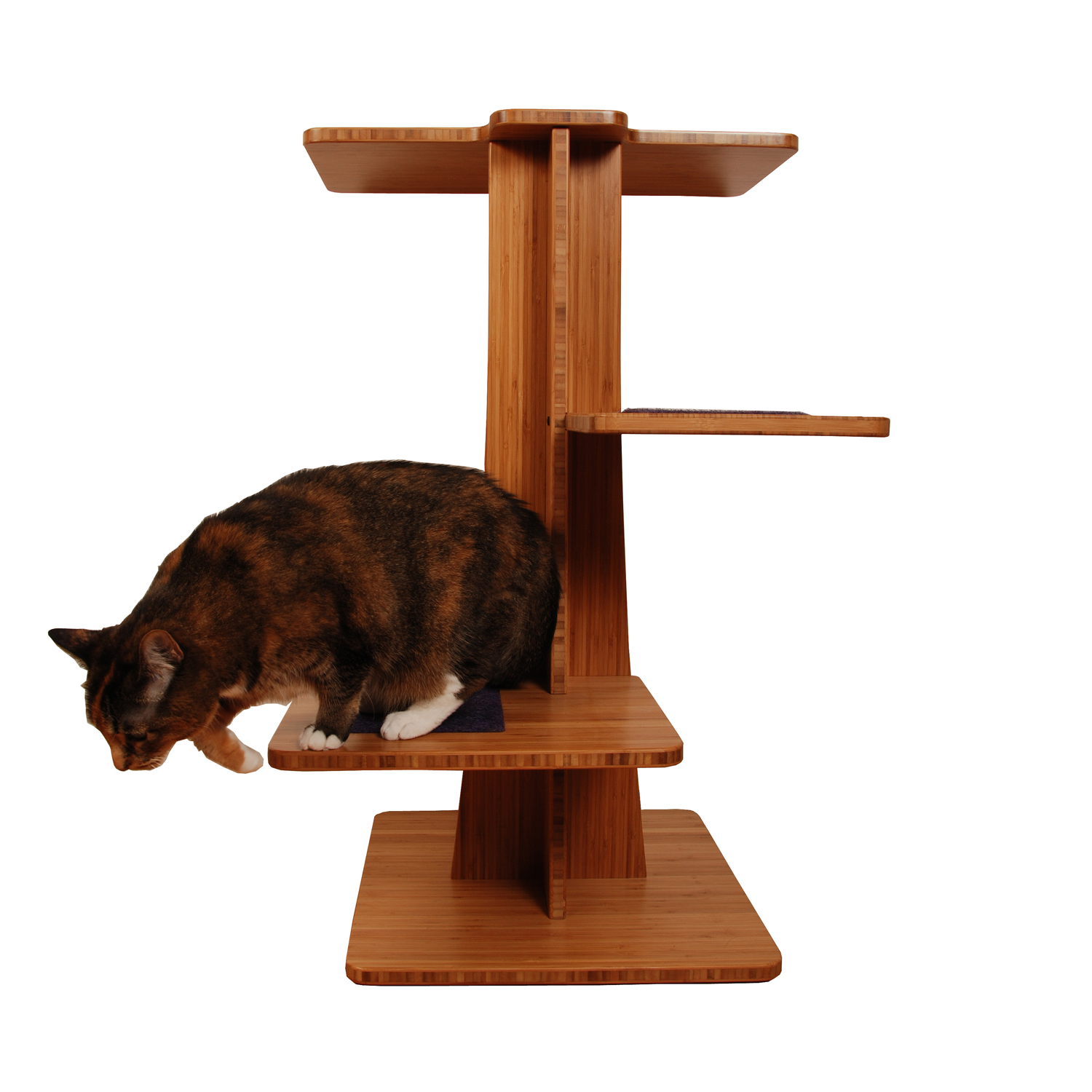 Magical Design Ideas For A Harry Potter Cat Tree