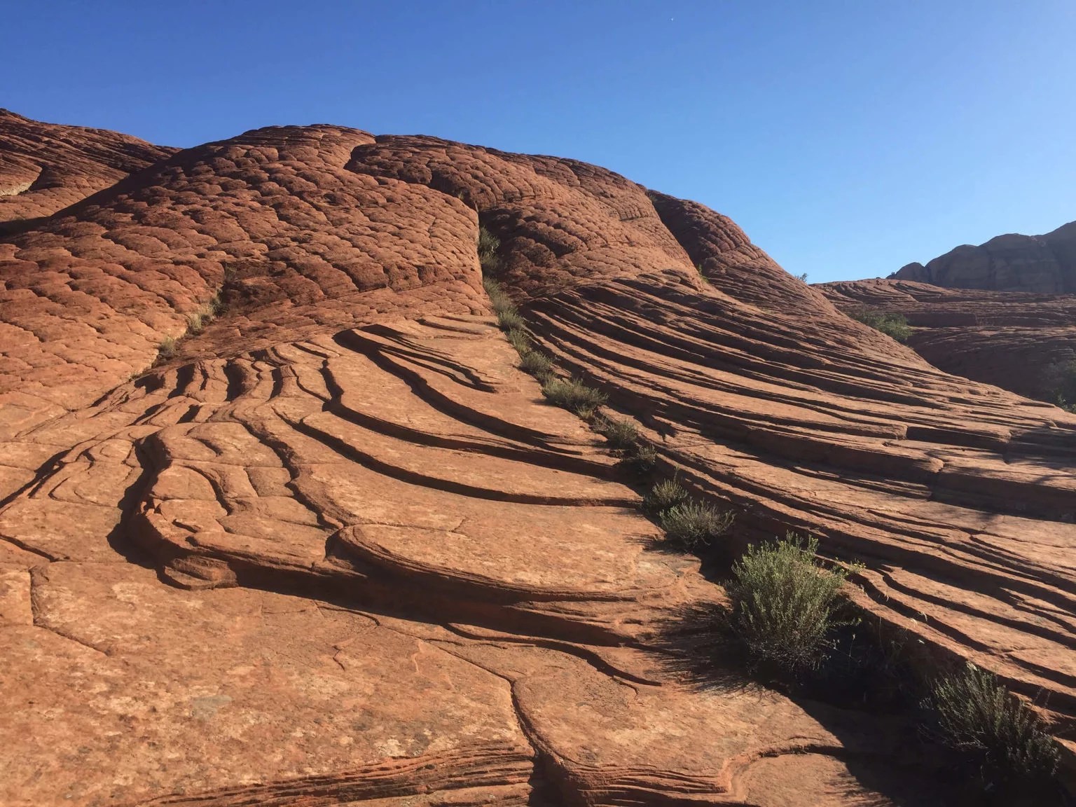 The Untamed Beauty Of Snow Canyon State Park: A Must-Visit Destination