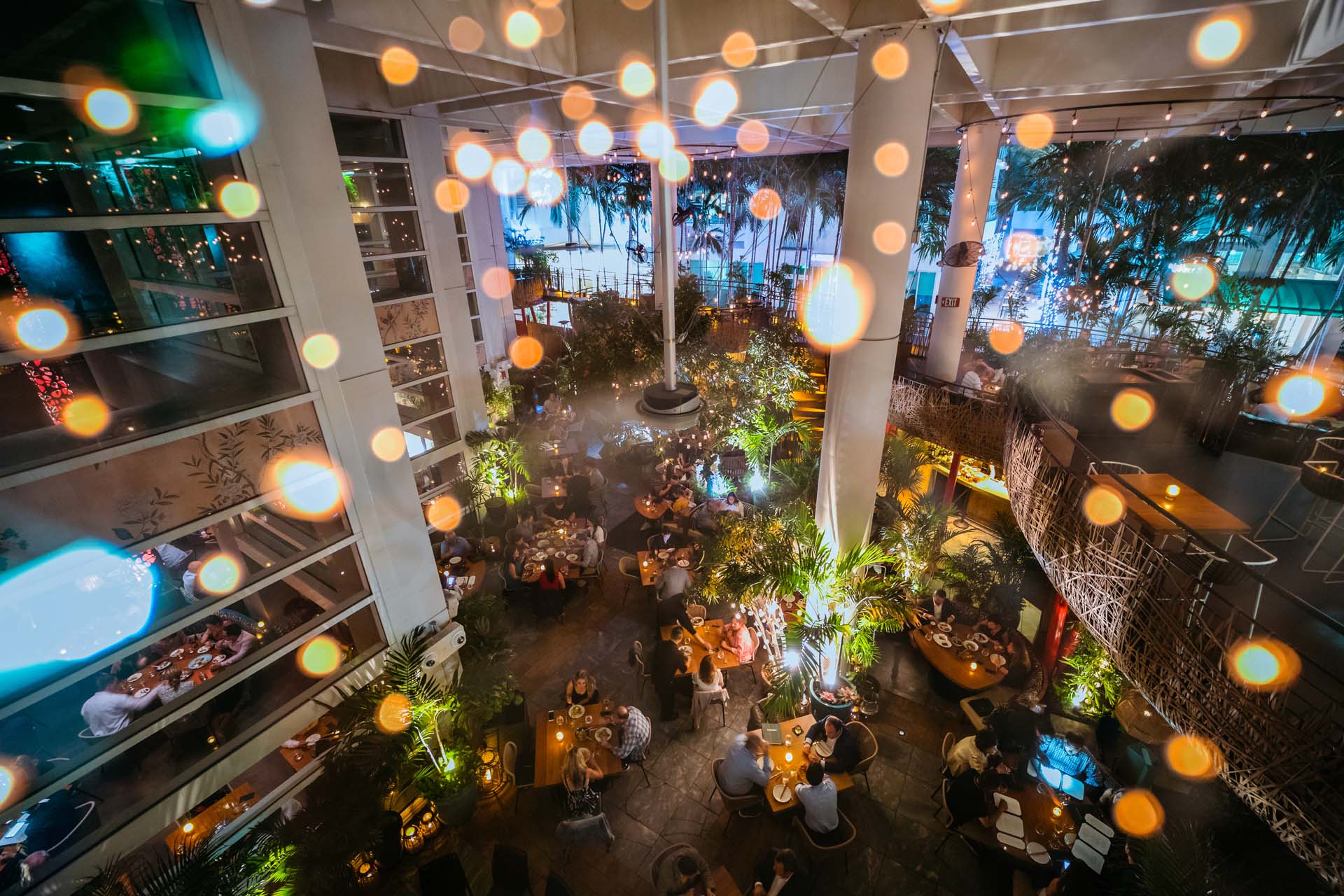 Uncovering The Allure Of Komodo Miami: A Dive Into Its Vibrant Atmosphere