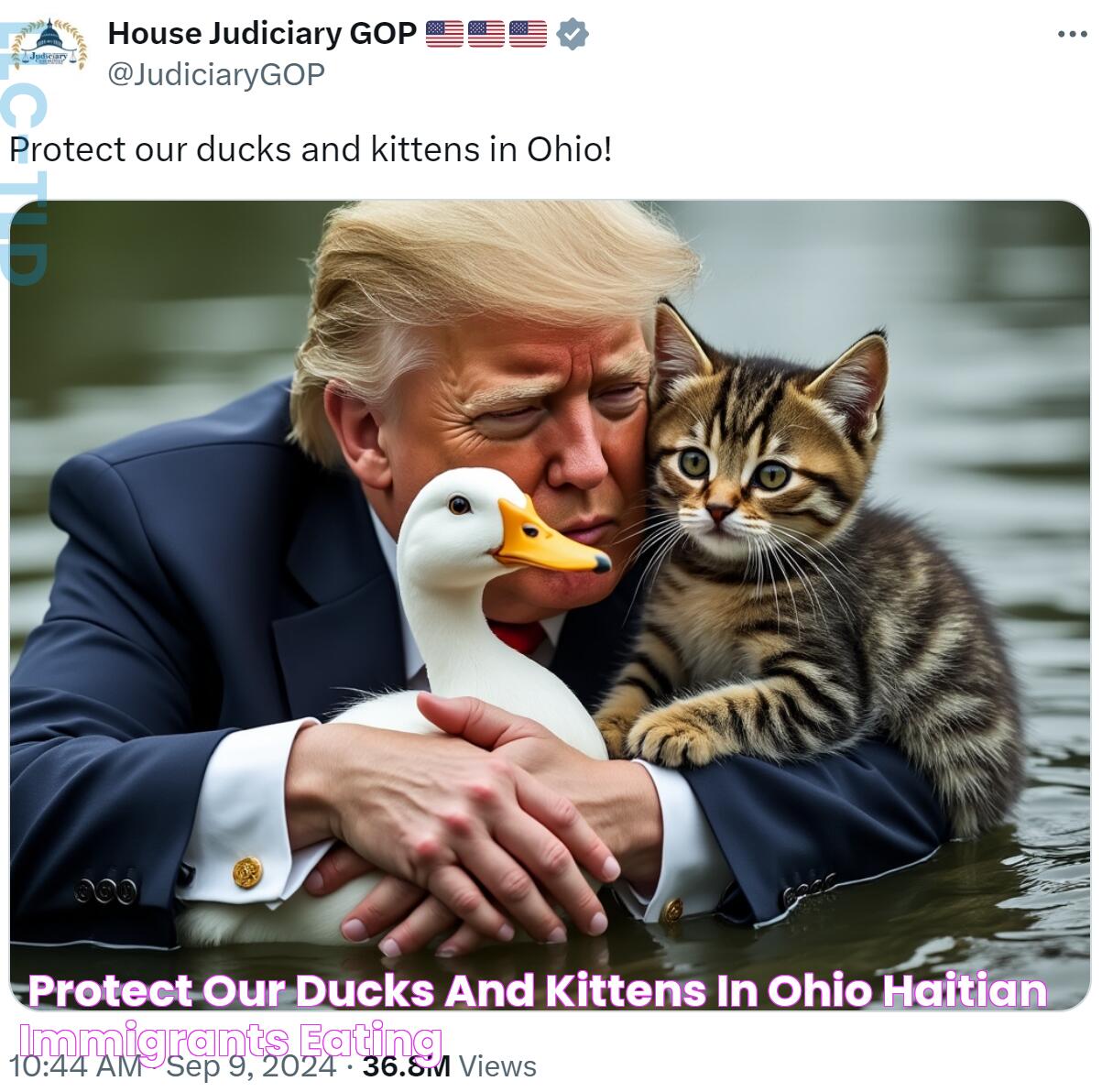 "Protect our ducks and kittens in Ohio!" Haitian Immigrants Eating