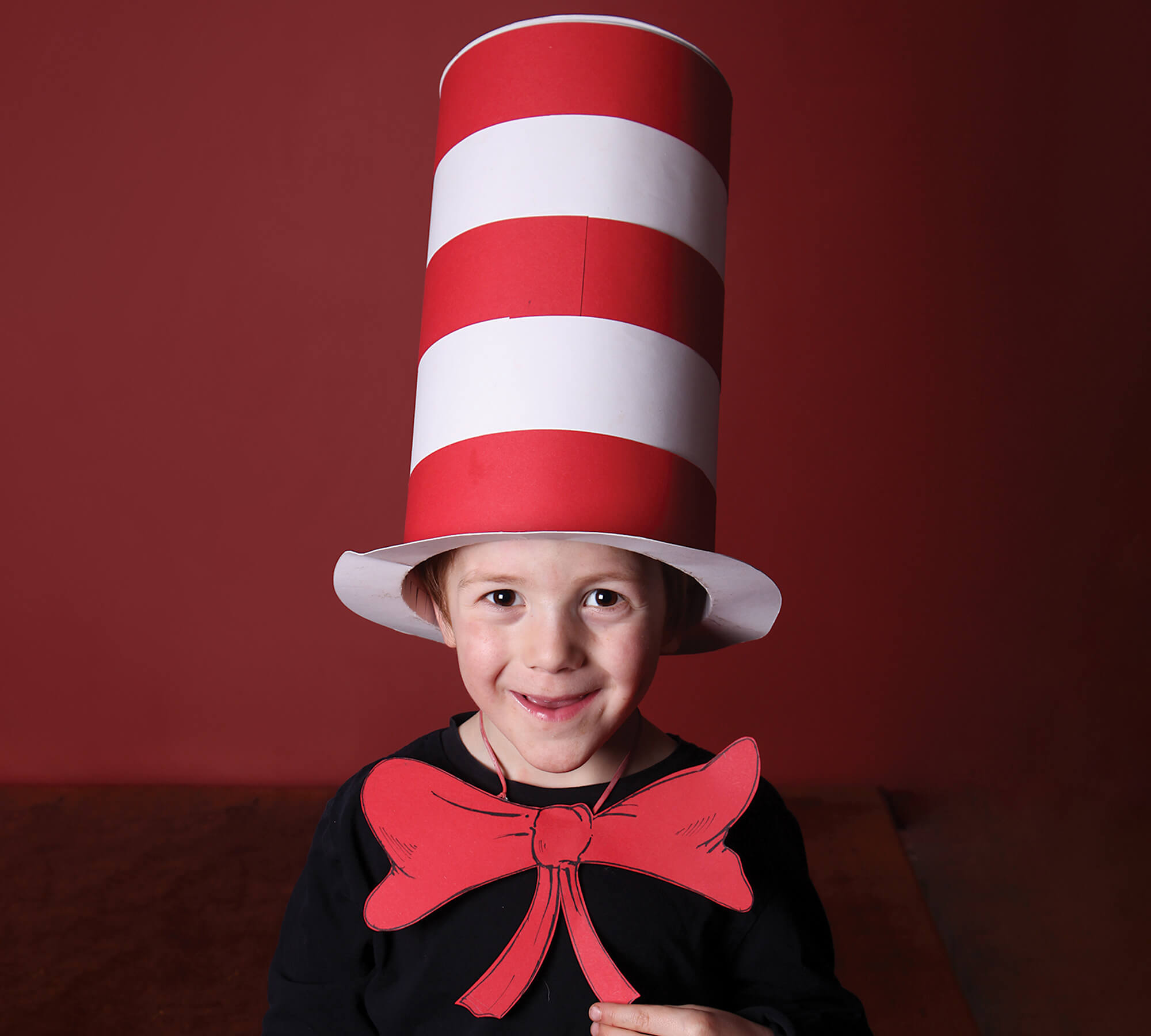 Cat In Hat Costume Ideas