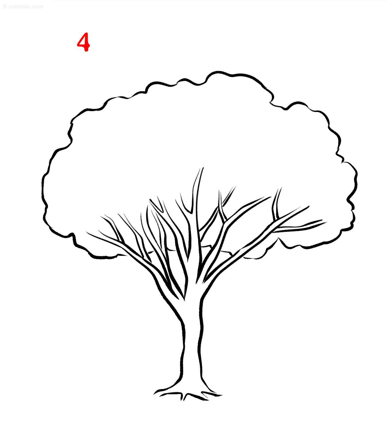 Simple Steps To Master How To Draw A Tree Easy