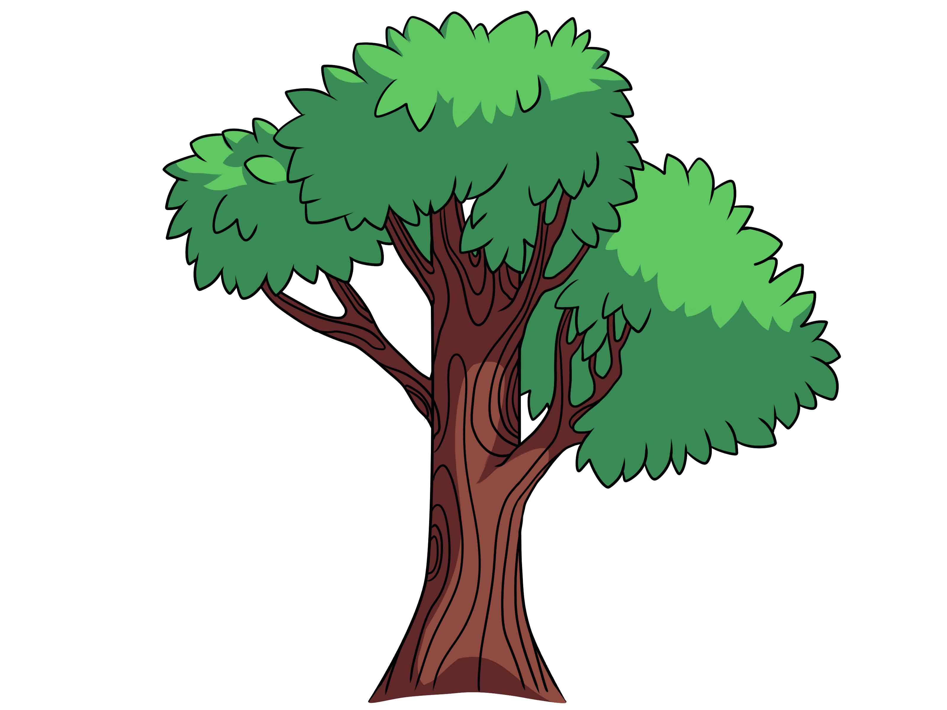 How to Draw a Simple Tree 11 Steps (with Pictures) wikiHow