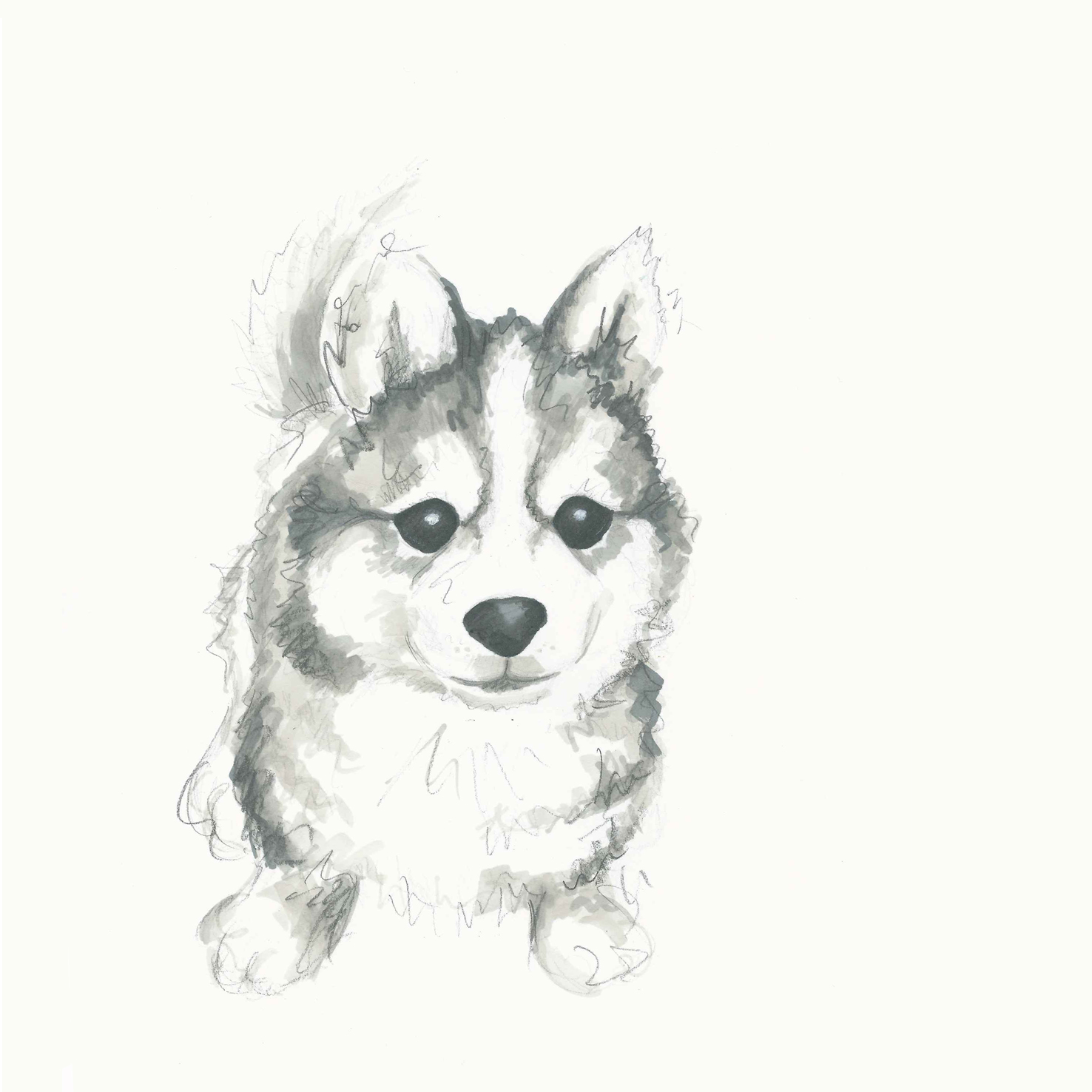 Realistic Puppy Drawing at Explore collection of