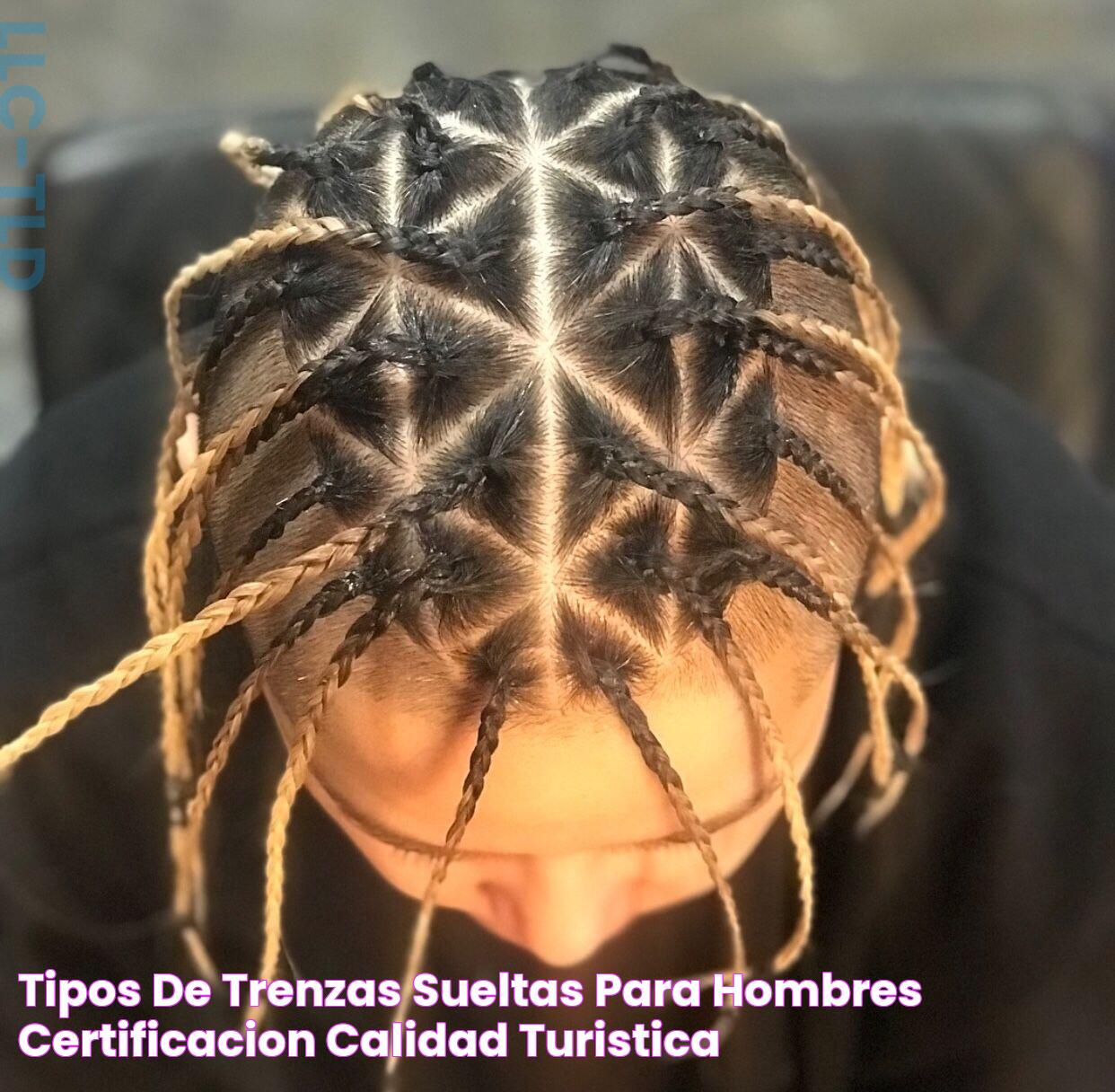 Tipos De Trenzas Sueltas Para Hombres Certificacion Calidad Turistica