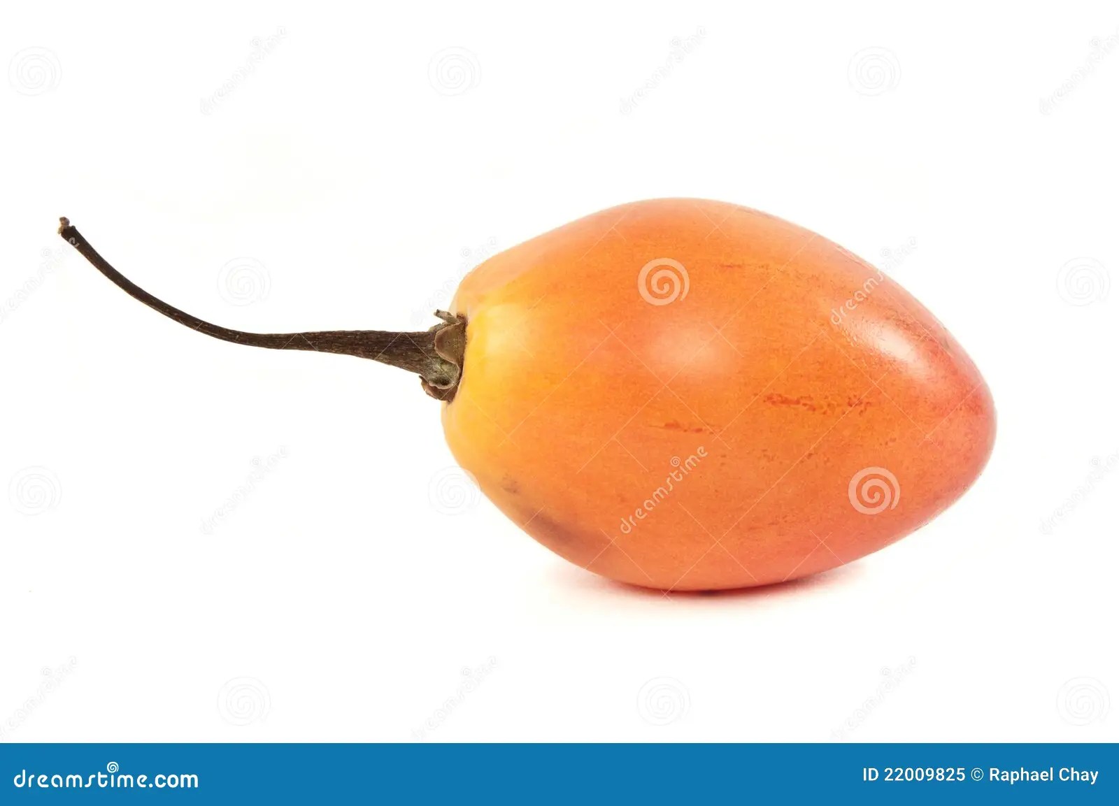 Tomate De Arbol Foto de Stock Royalty Free Imagem 22009825