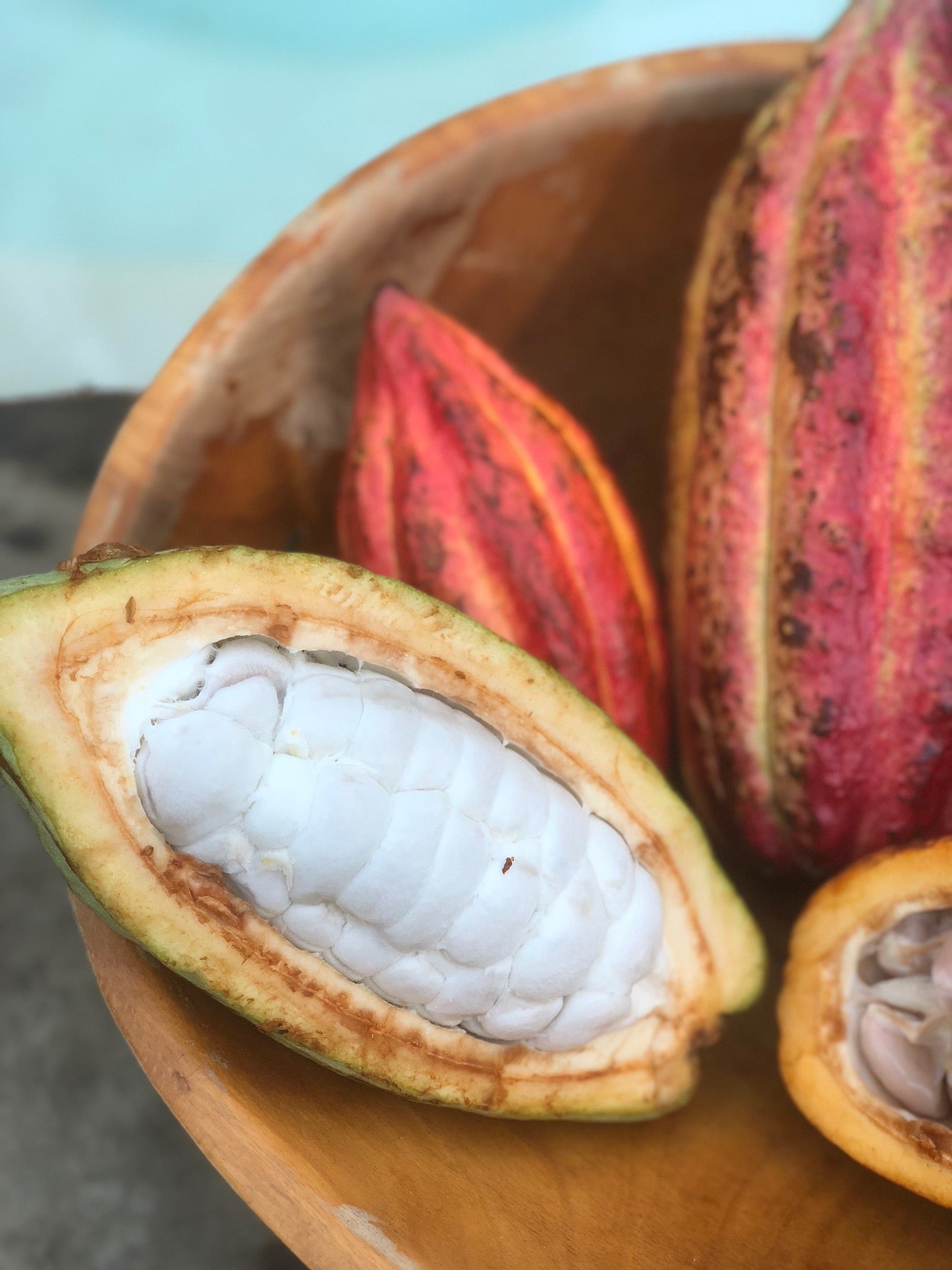 Cacao Buy Cacao online from Miami Fruit