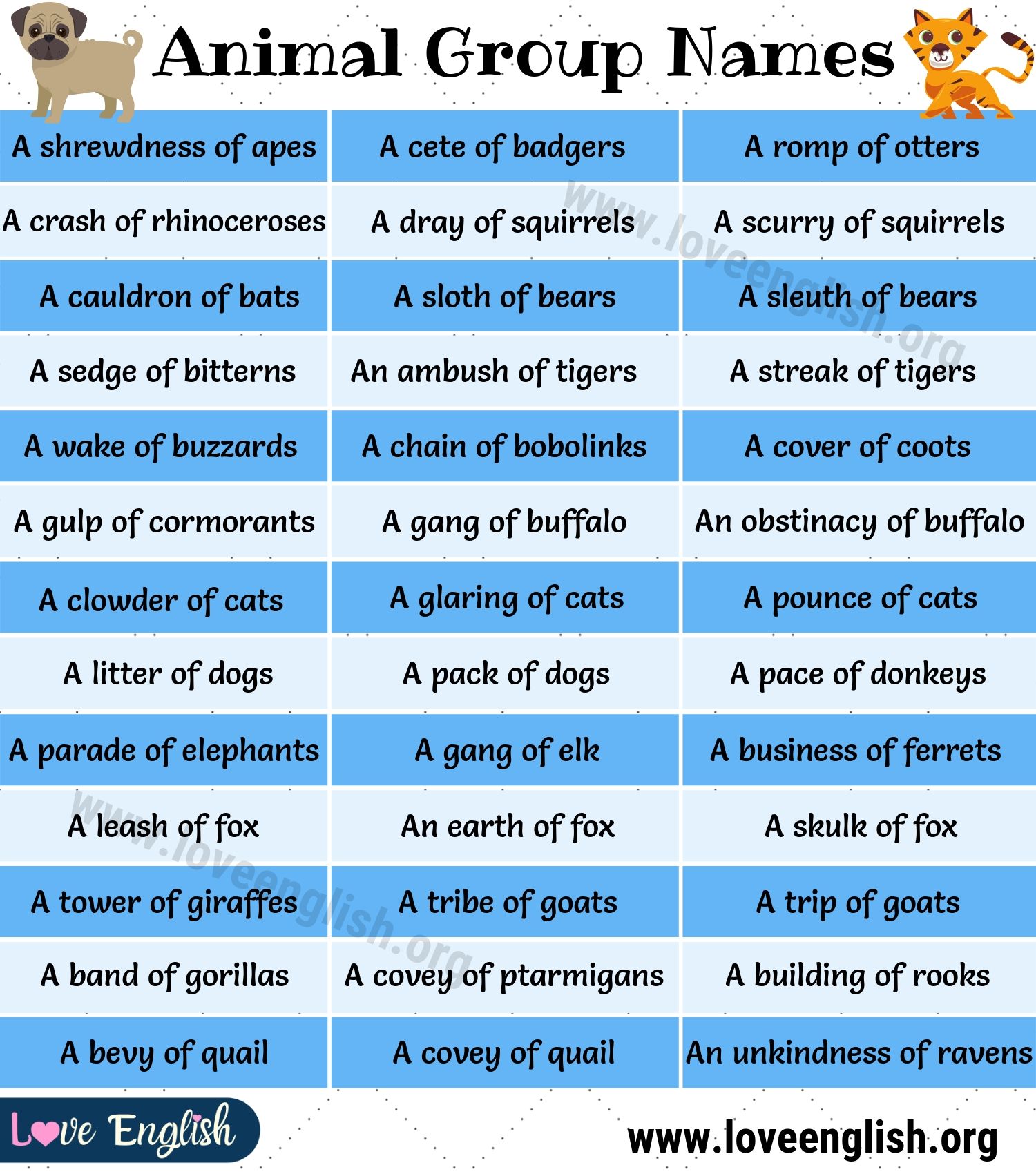 Unique Names For Groups Of Animals: A Complete Guide