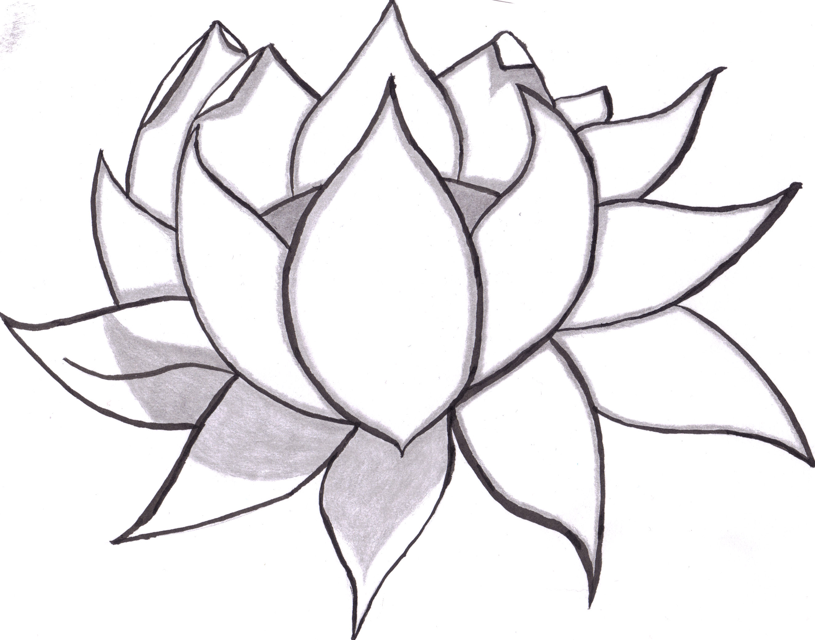 Mastering The Art Of Lotus Flower Drawing: A Step-by-Step Guide